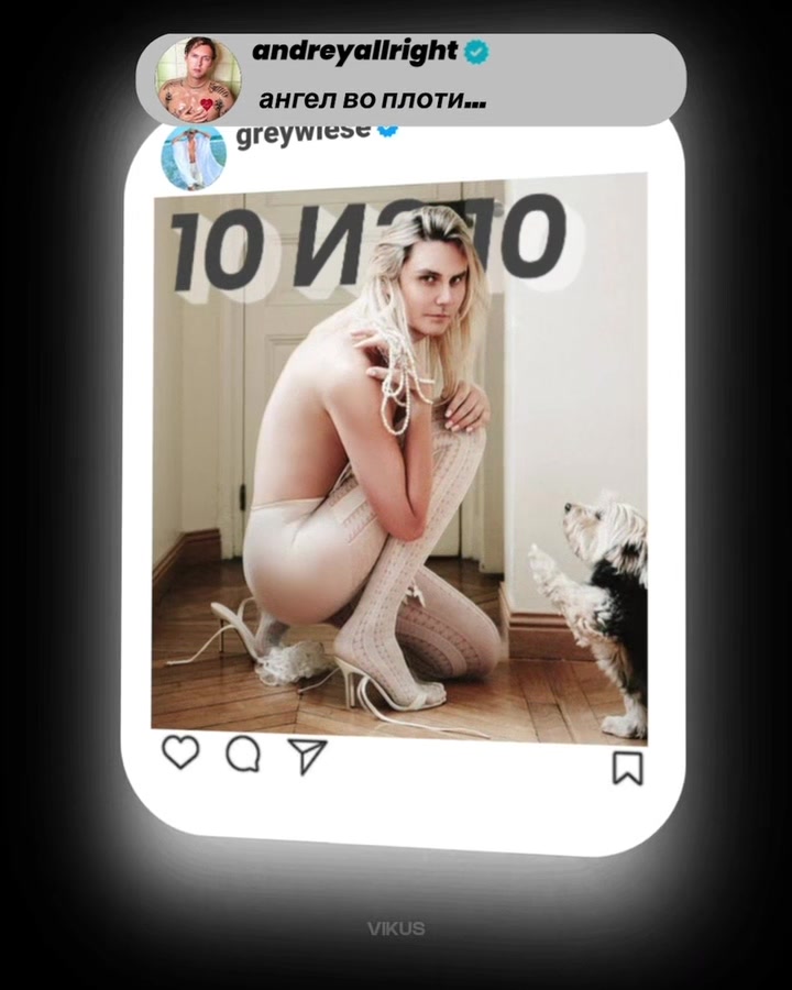 @☙ ✧ 𝓥𝓲𝓴𝓾𝓢 ✧ ❧︎