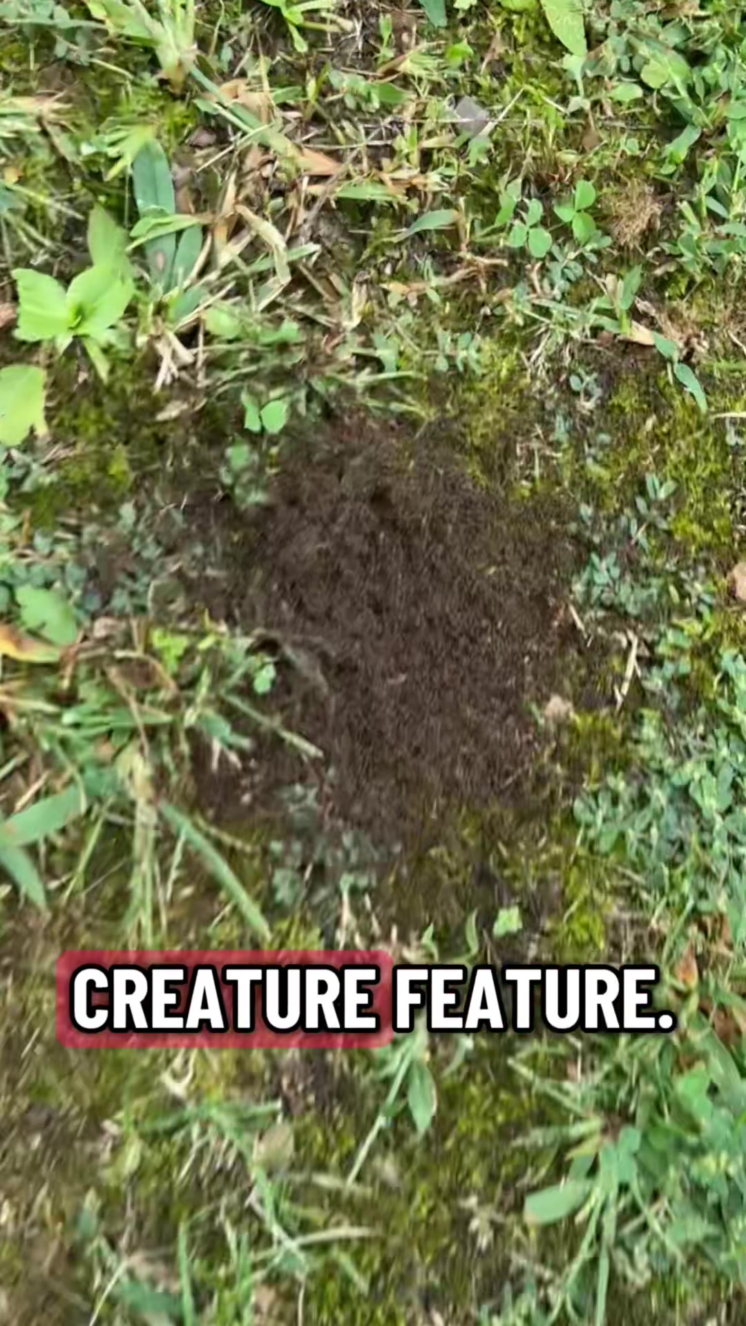 @Cappy1000000