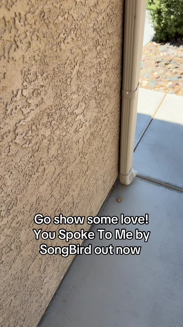 @Dani ❌