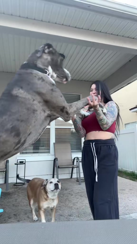 @lydiot