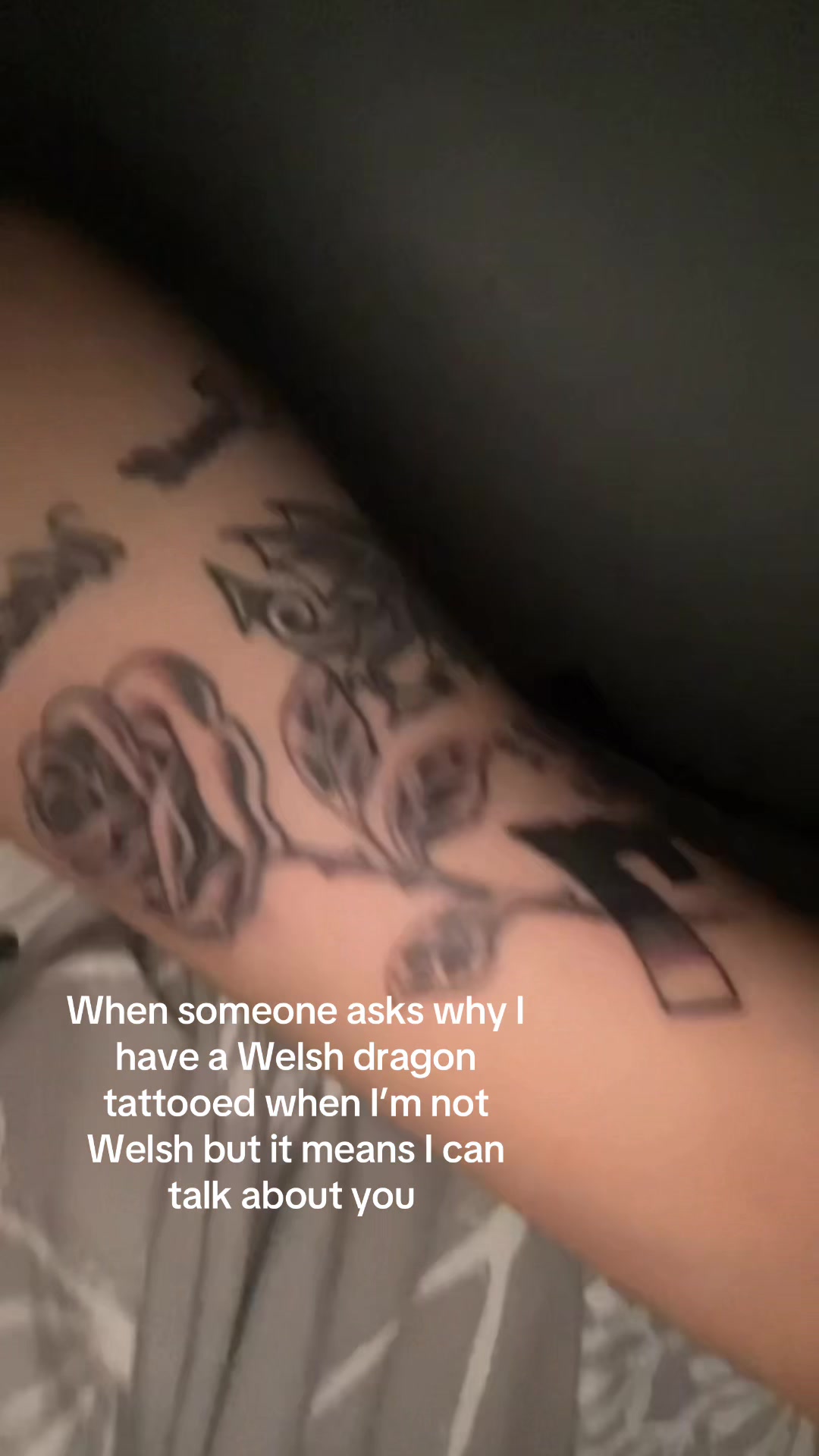 @Molly parry/wildcrown owner👑