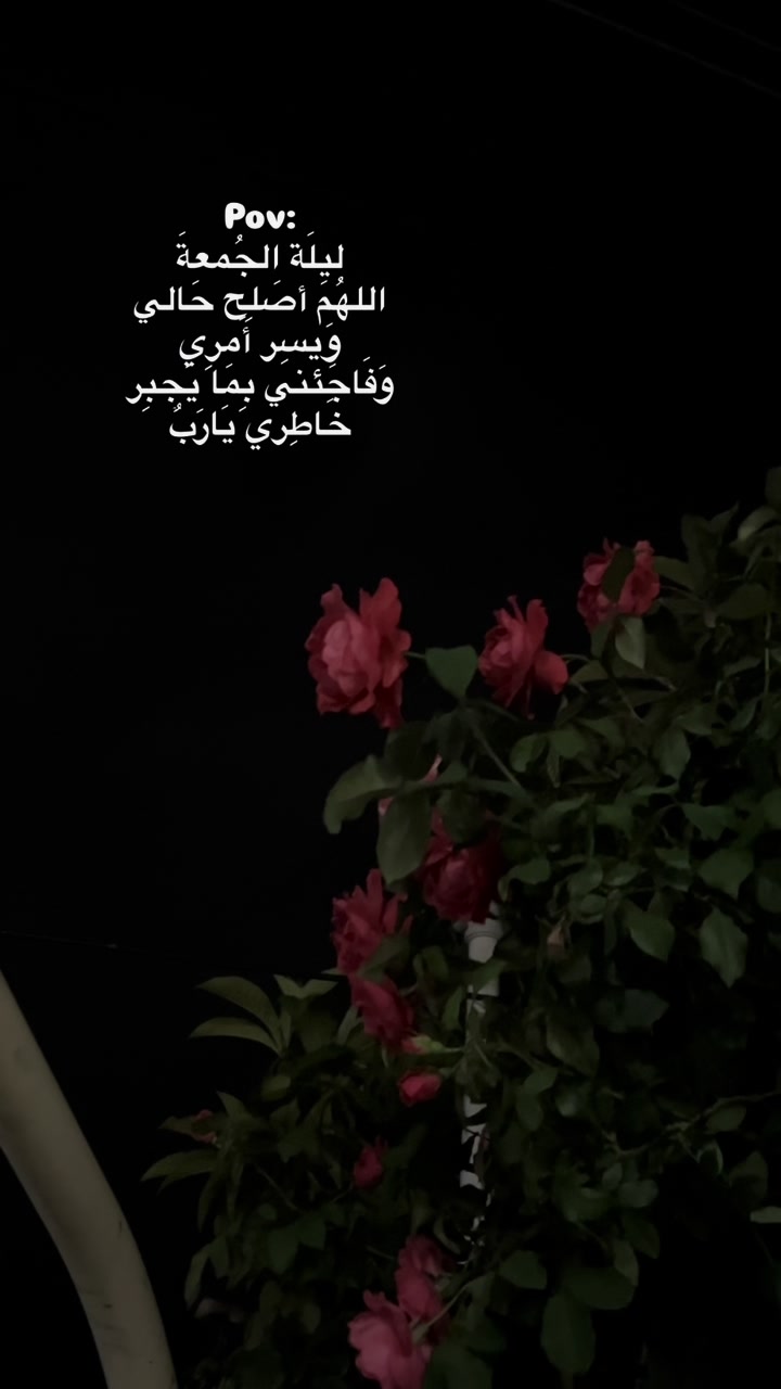 @لحظة الأمل 🫀🤍