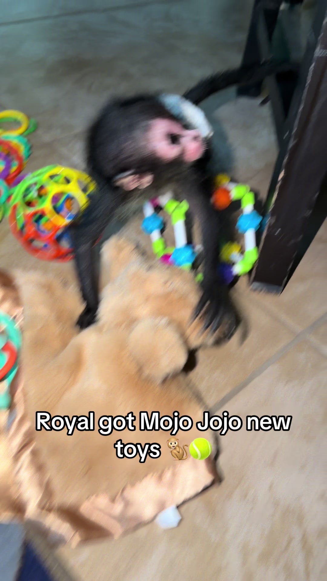 @OJTV & Mojo Jojo🧡
