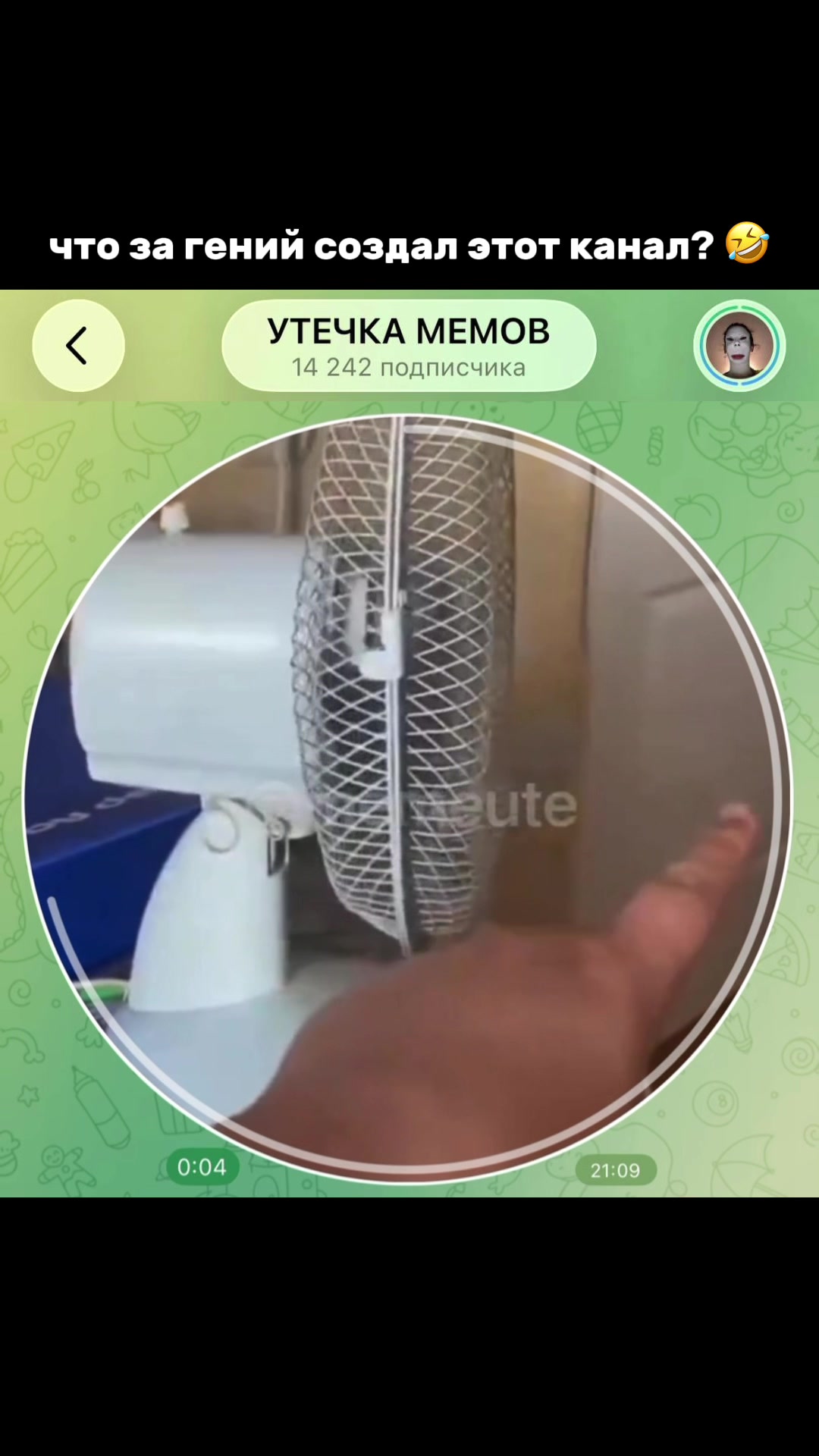@тгк: memeute