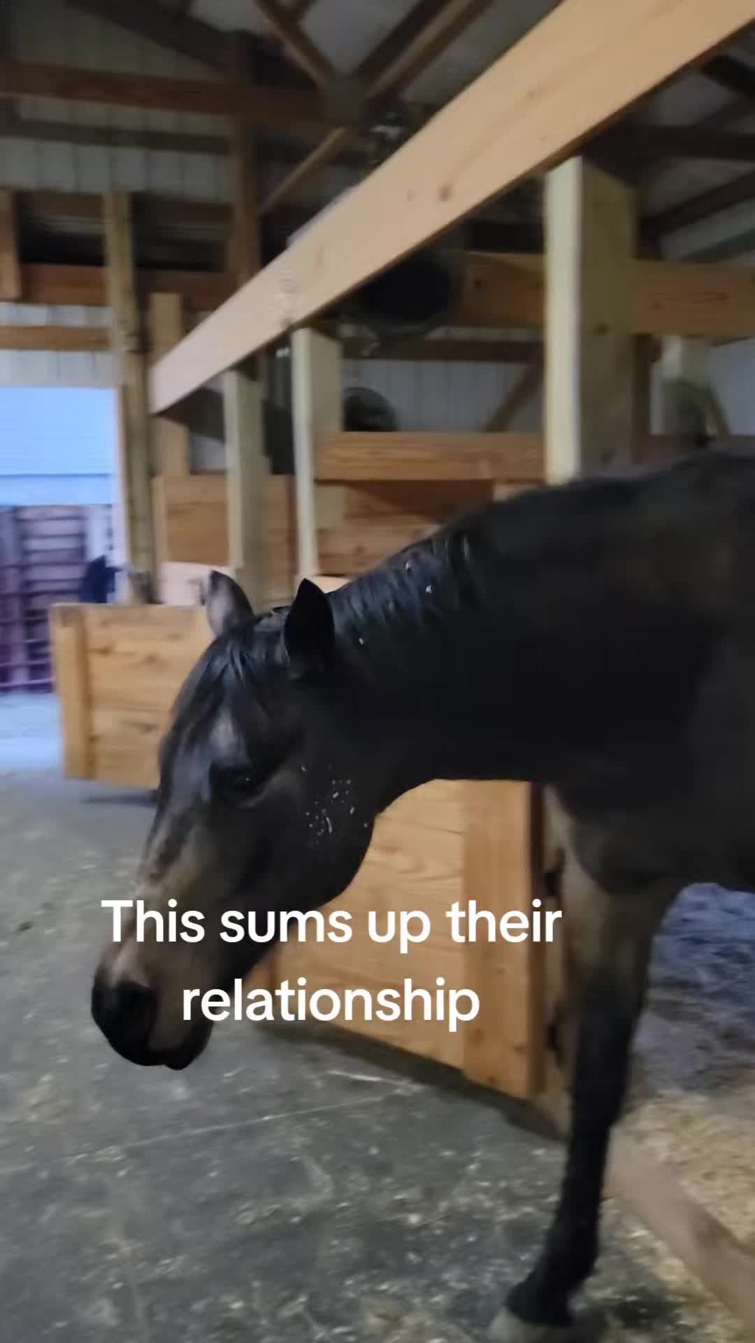 @Type Alison