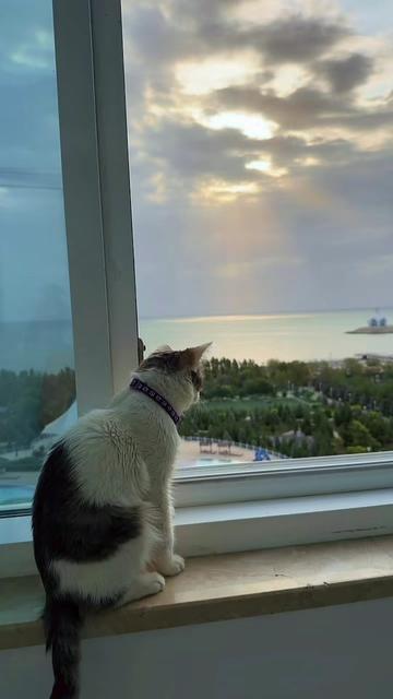 @𝓛𝓮𝔂𝓵𝓲𝓱𝓪𝓷 🇹🇲