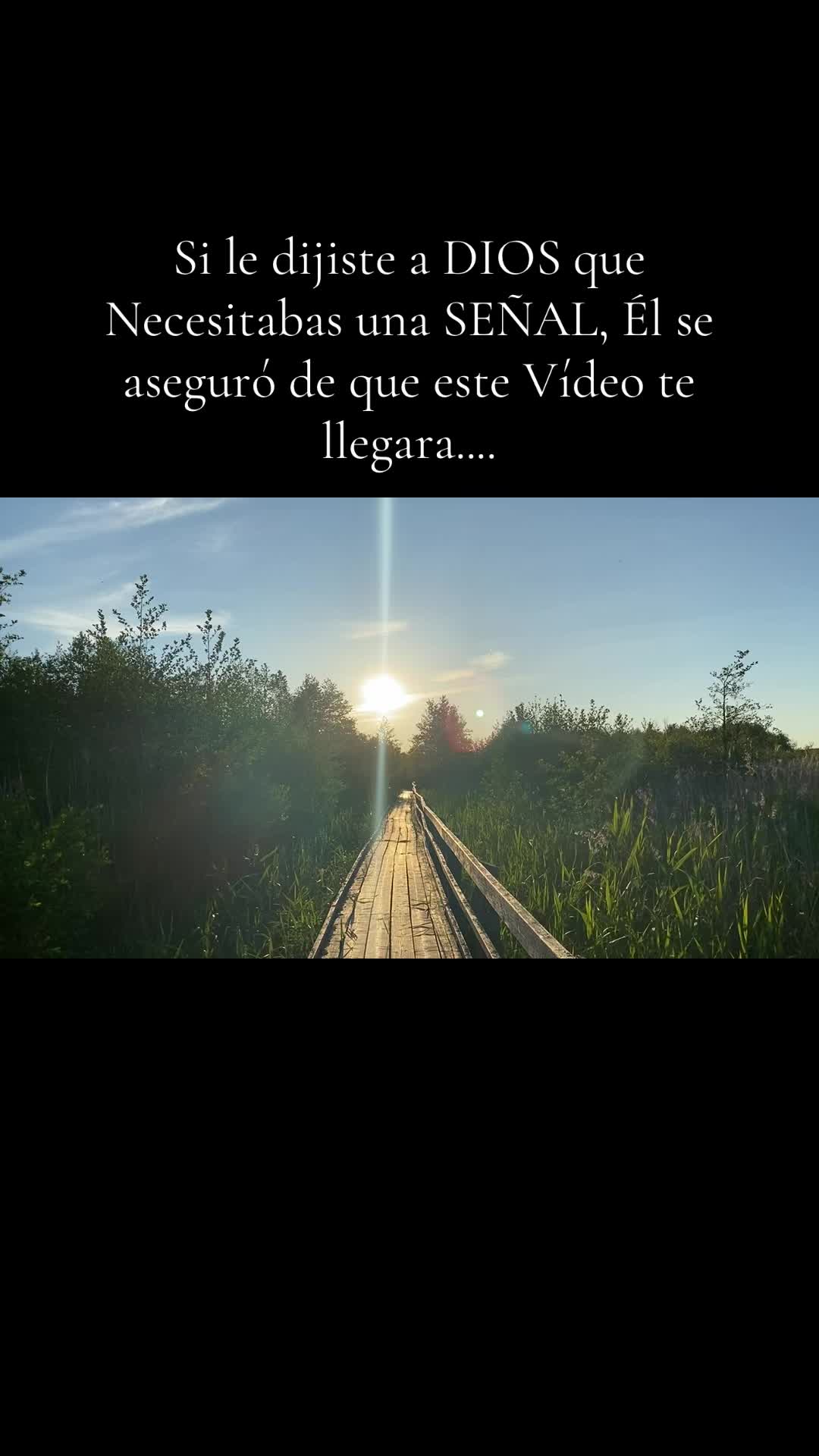 @Emanuel Santander |Reflexiónes