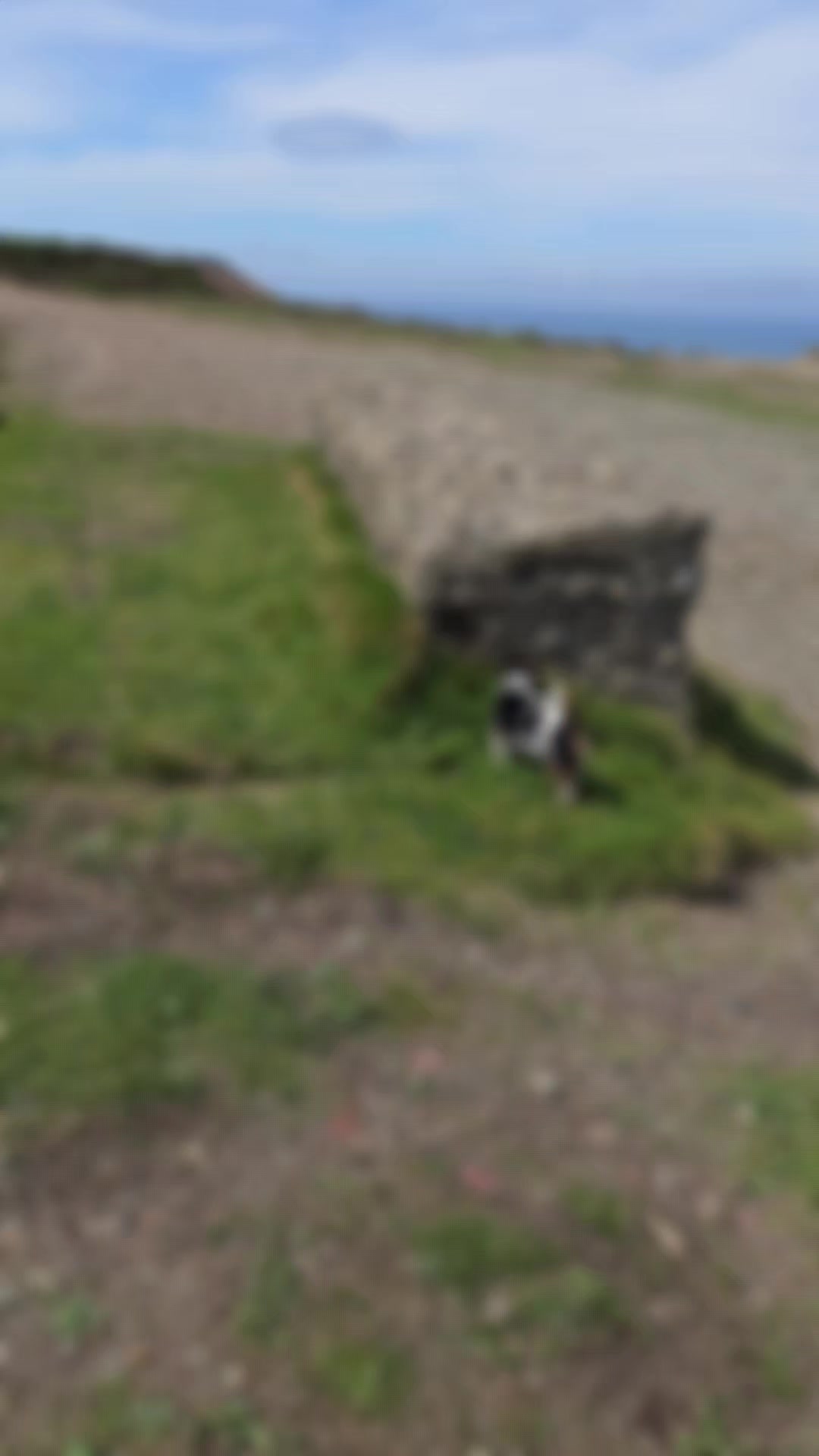 @〓〓 Paul in Cornwall 〓〓