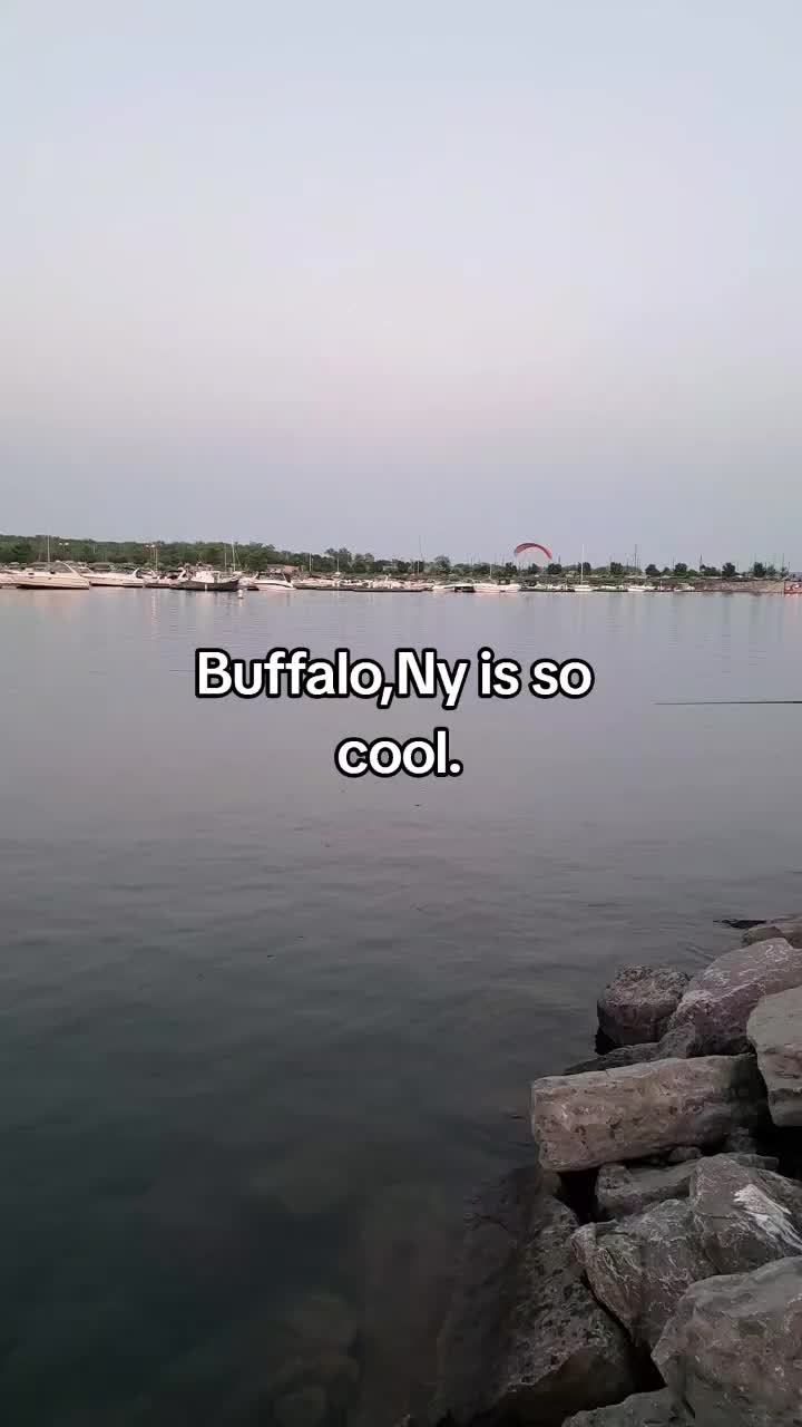 @butterfly53084