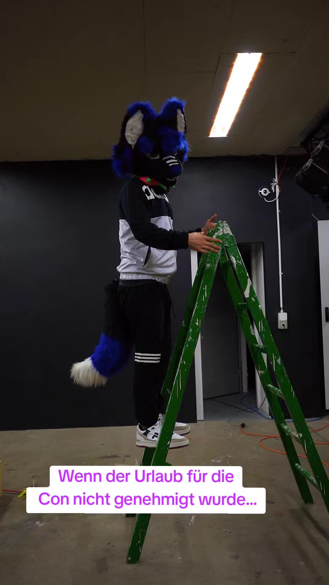 @HypaDook/FlowFox