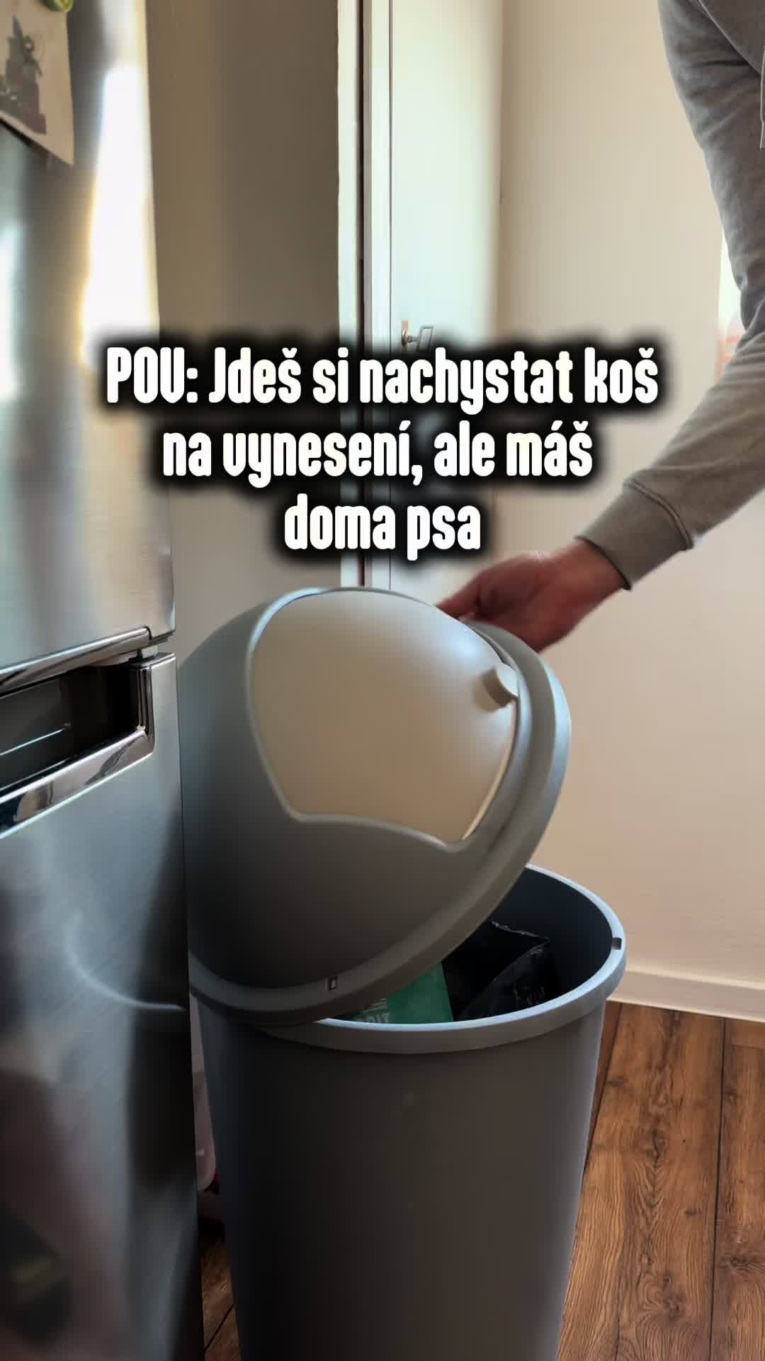 @animall_cz