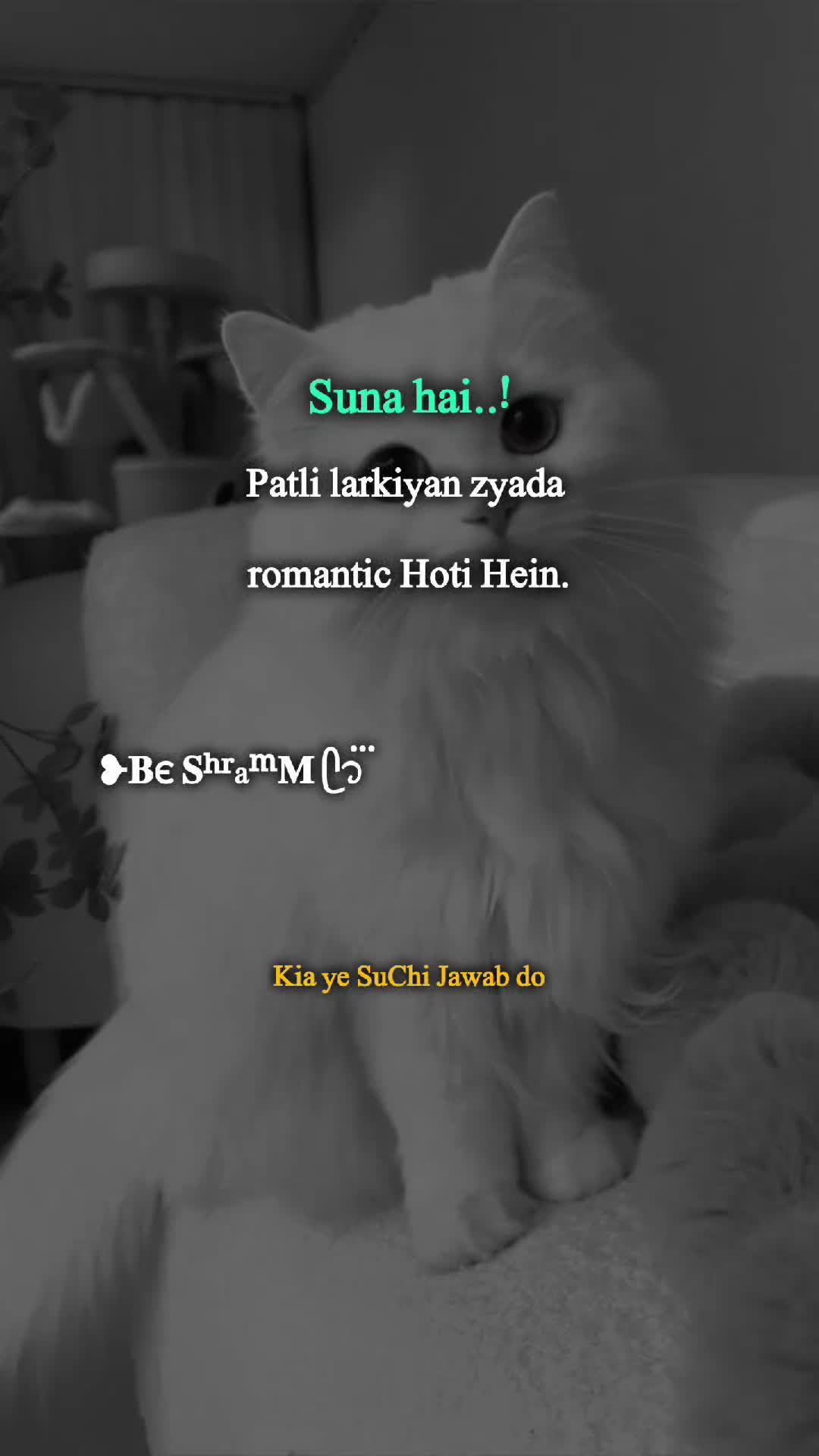@❥𝐁є 𝐒ʰʳaᵐ𝐌 ᥫ᭡፝֟፝֟