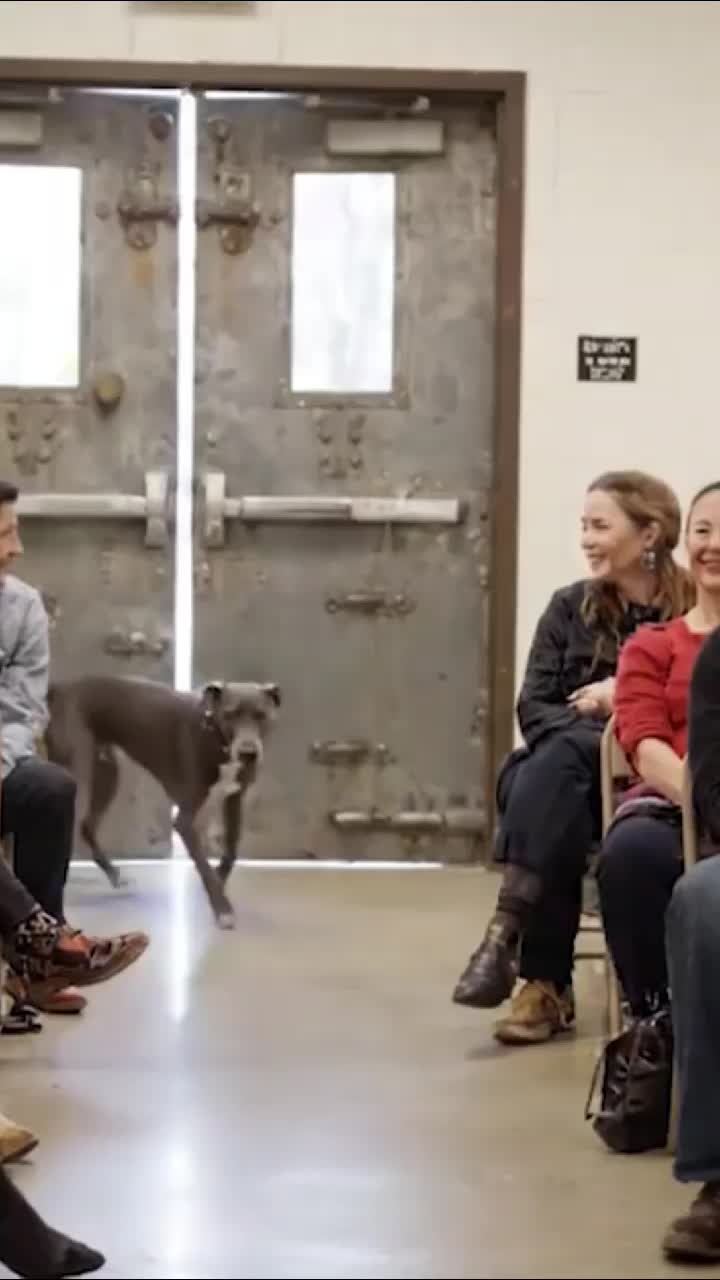 @dogadoption