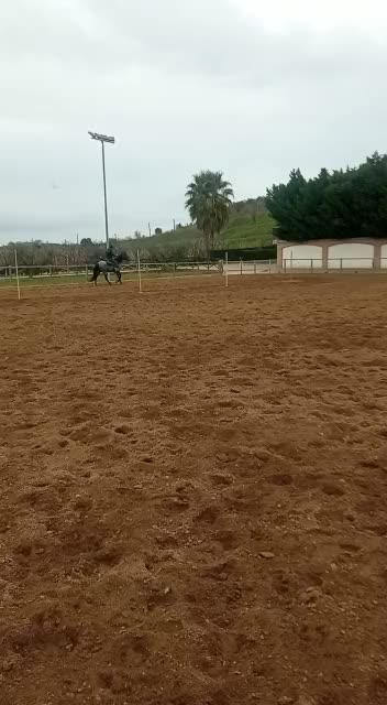 @Angelo D’Ambra