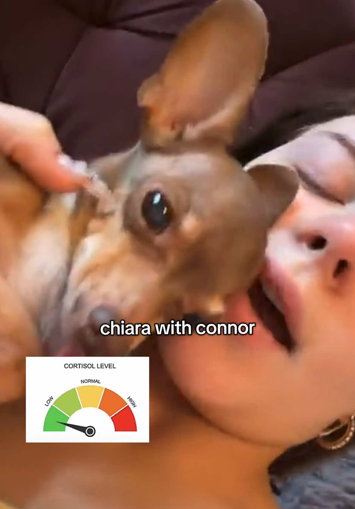 @𝐧𝐢𝐢𝐤𝐚