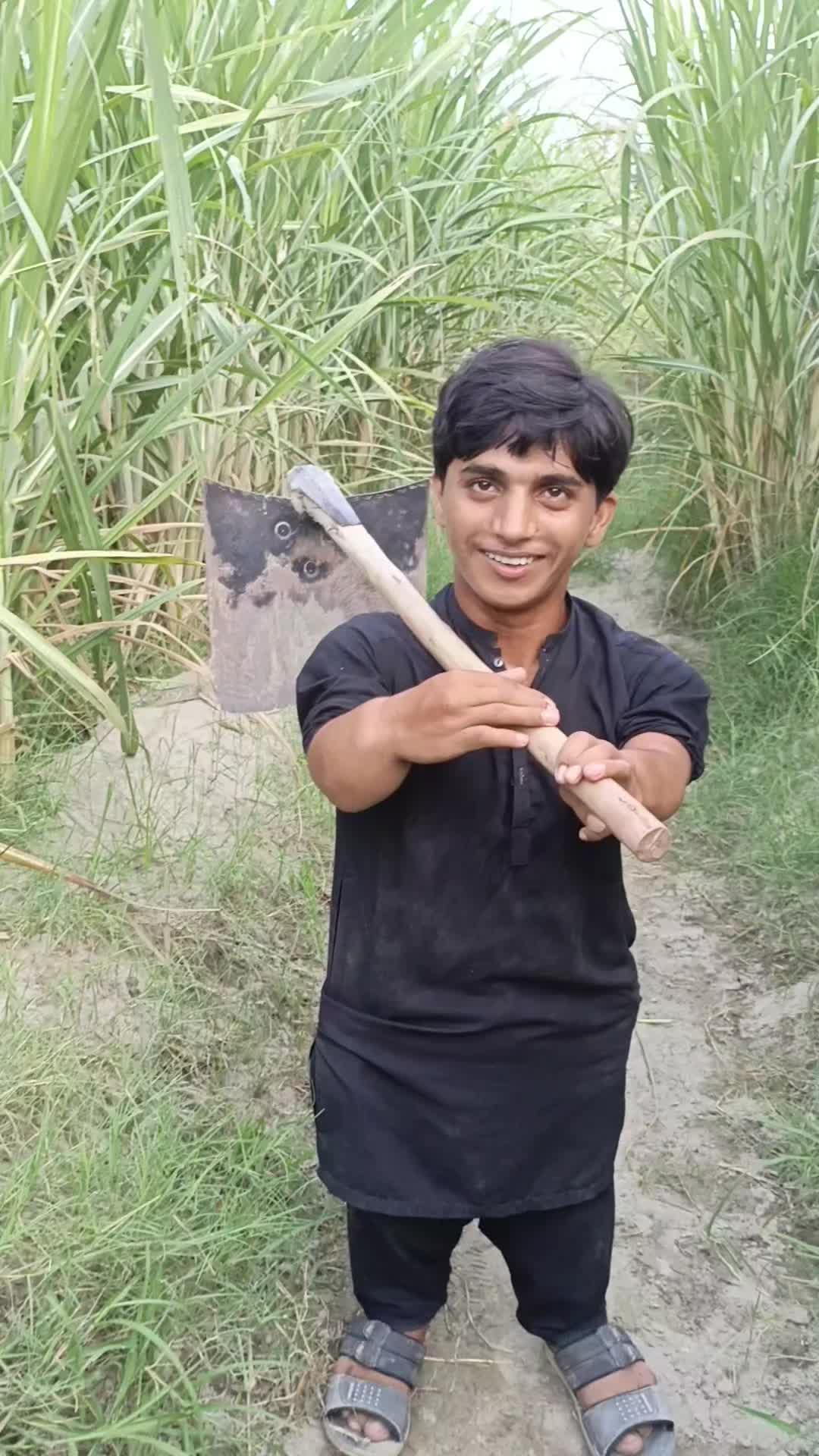 @گُڈو بادشاہ