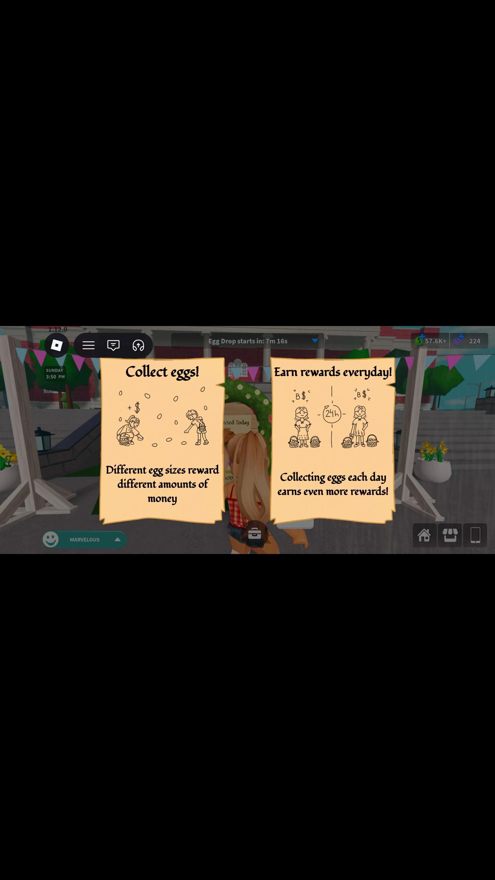 @Bloxburbian Girl
