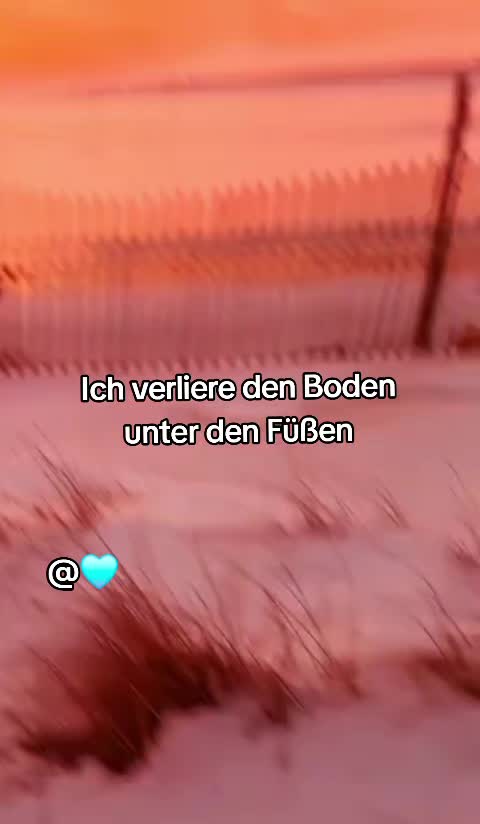 @๐ฉต