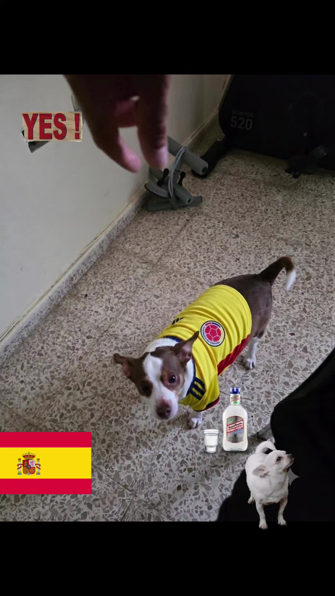 @ander33