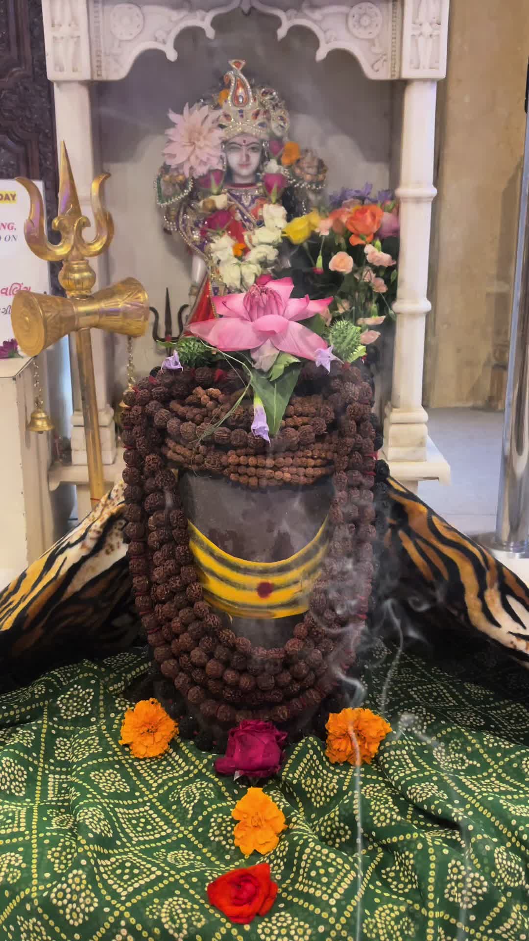 @VAIDIKPRIEST
