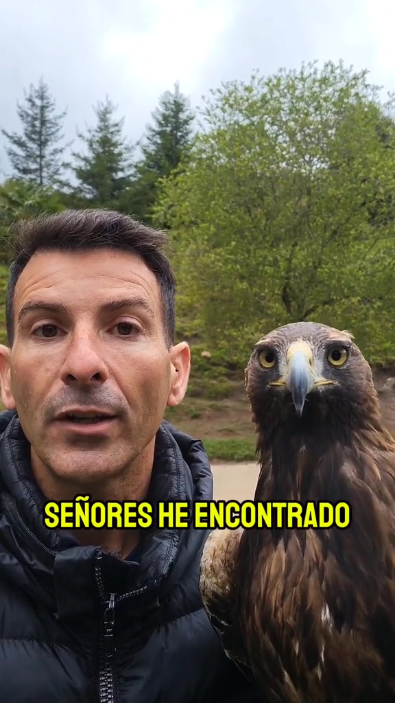 @Isidoro Baides