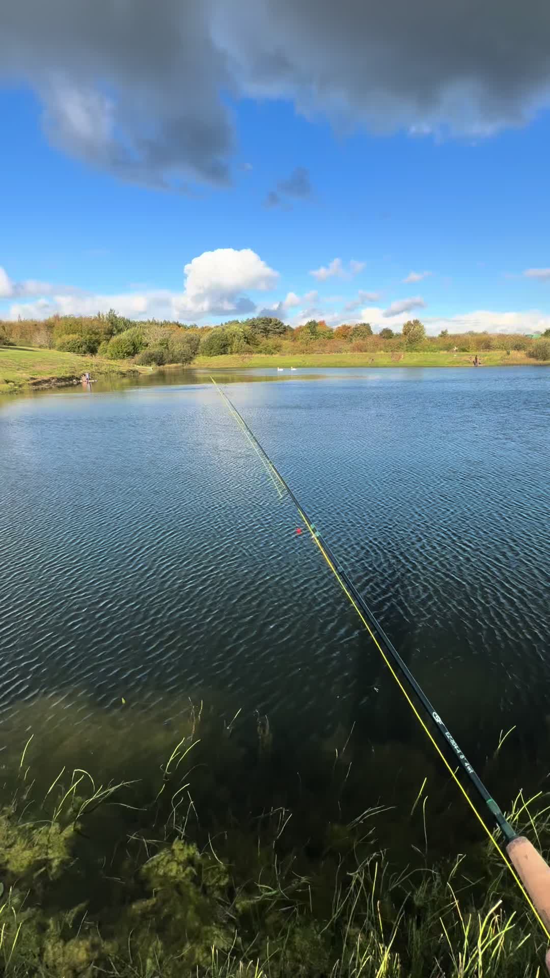 @Alba Trout 🏴