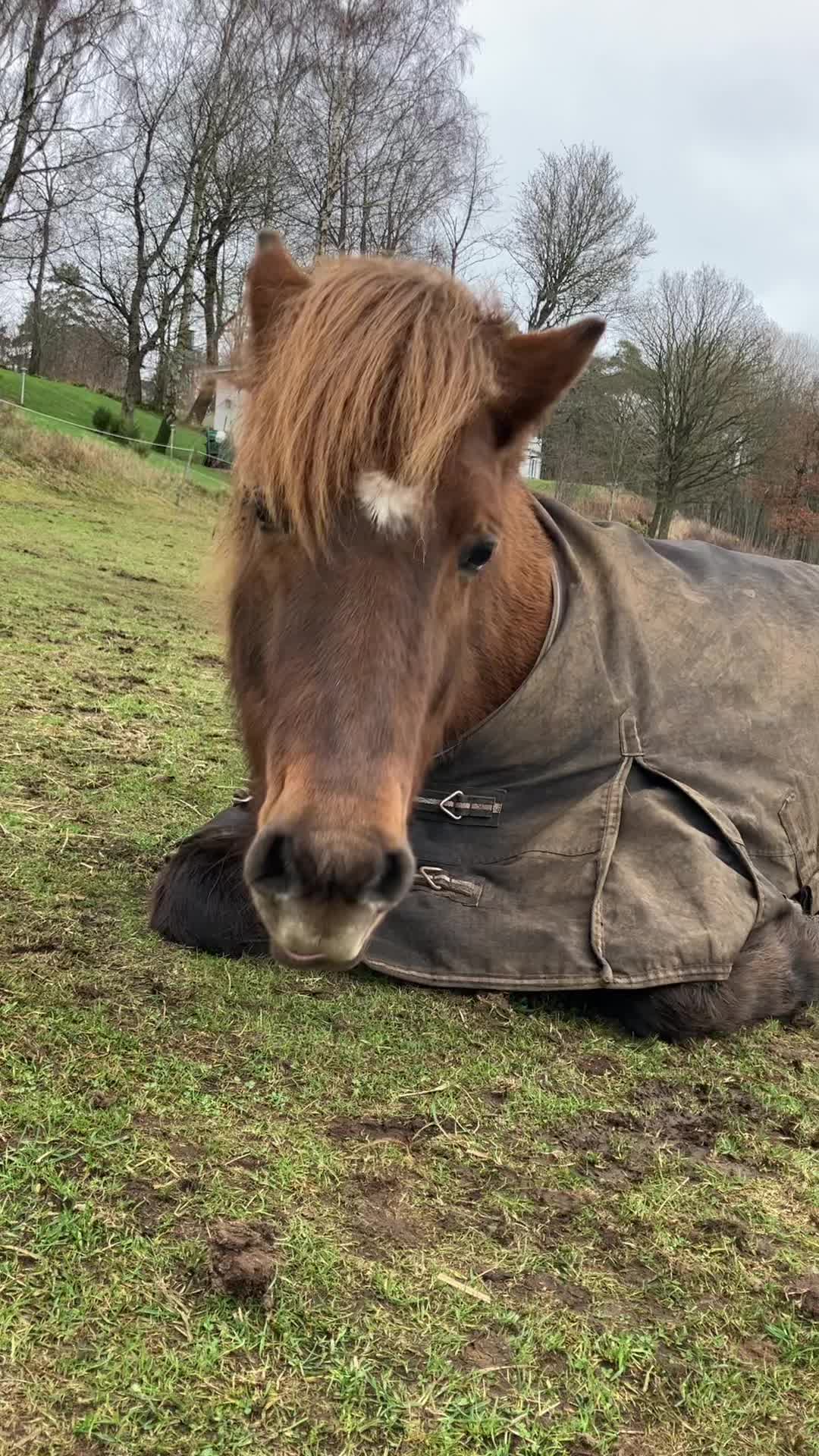 @𝓝𝓮𝓵𝓵𝓲𝓮💘
