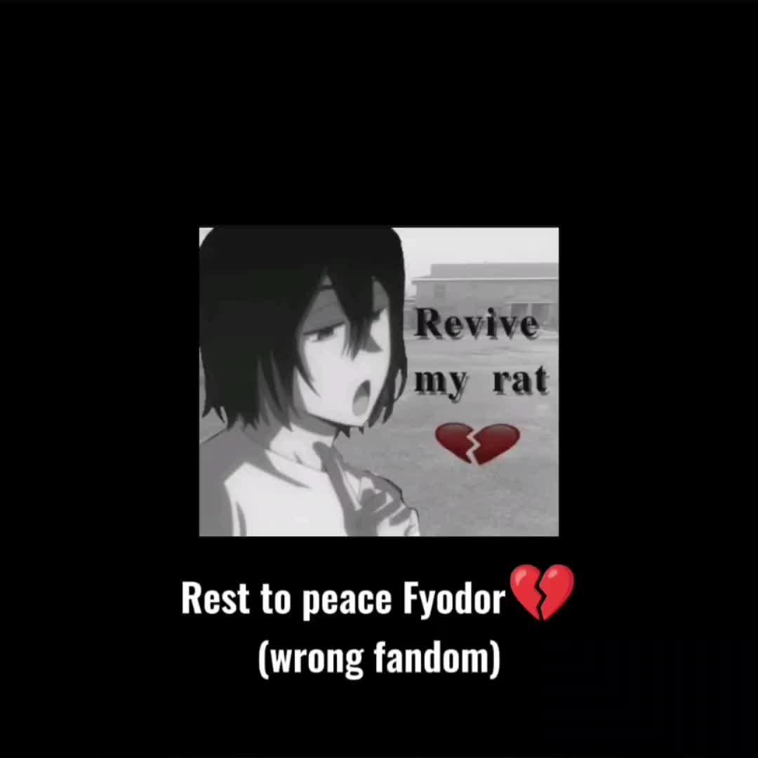 @Sk8, BF, BSD🔛🔝 || 🍓🐈&zwj;⬛