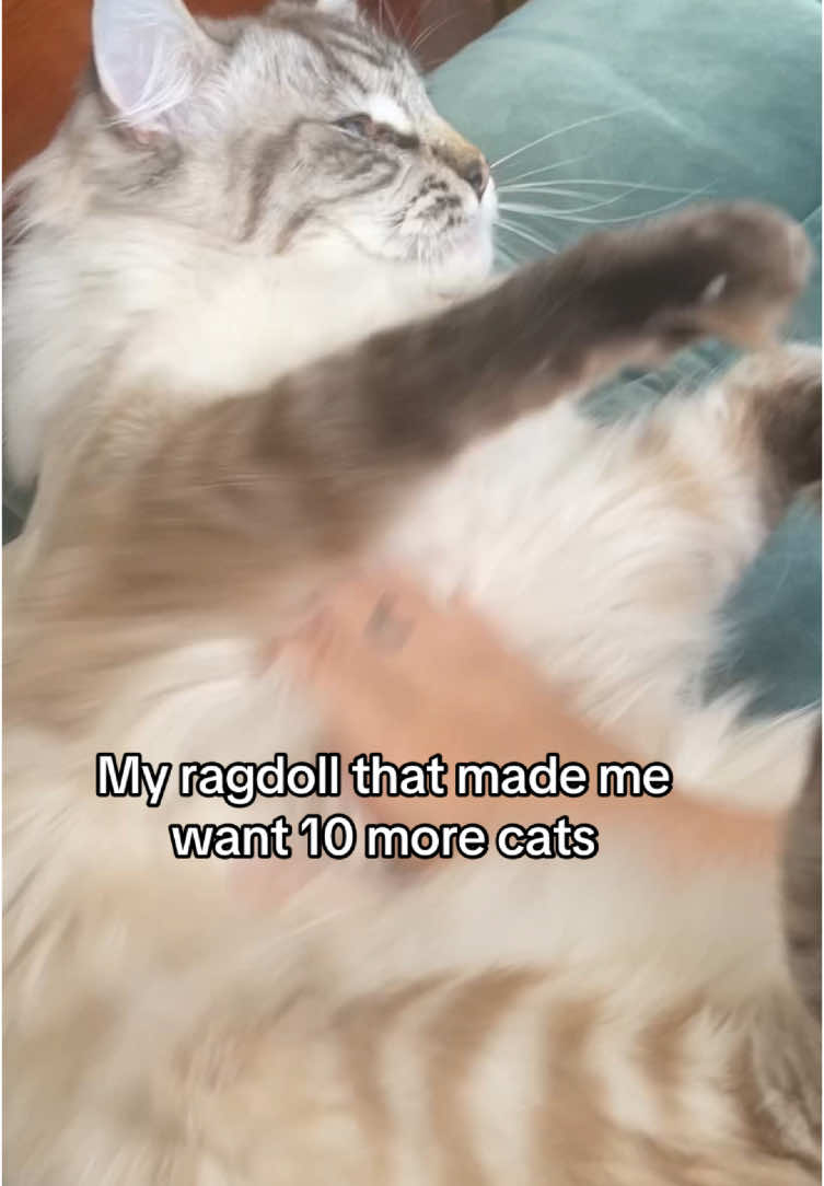 @Elithien