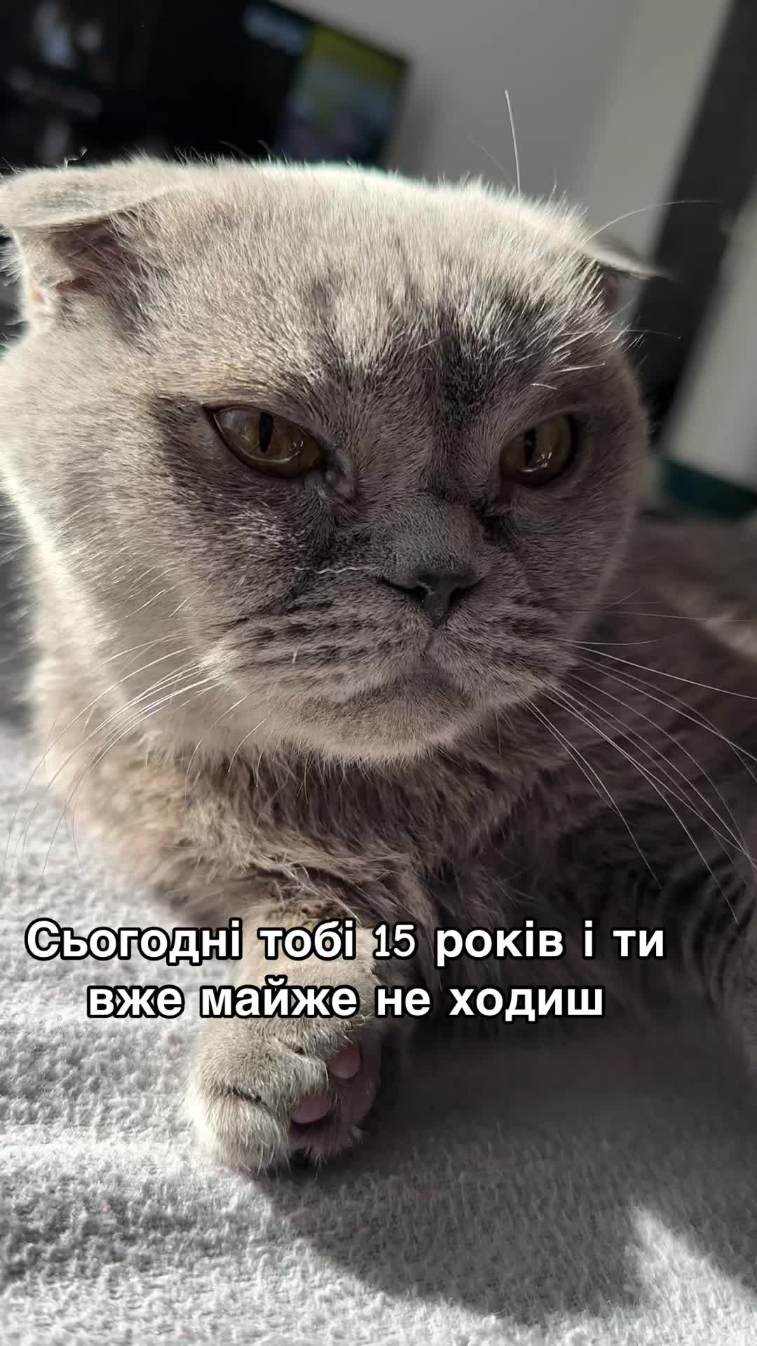 @Nika.Ushan