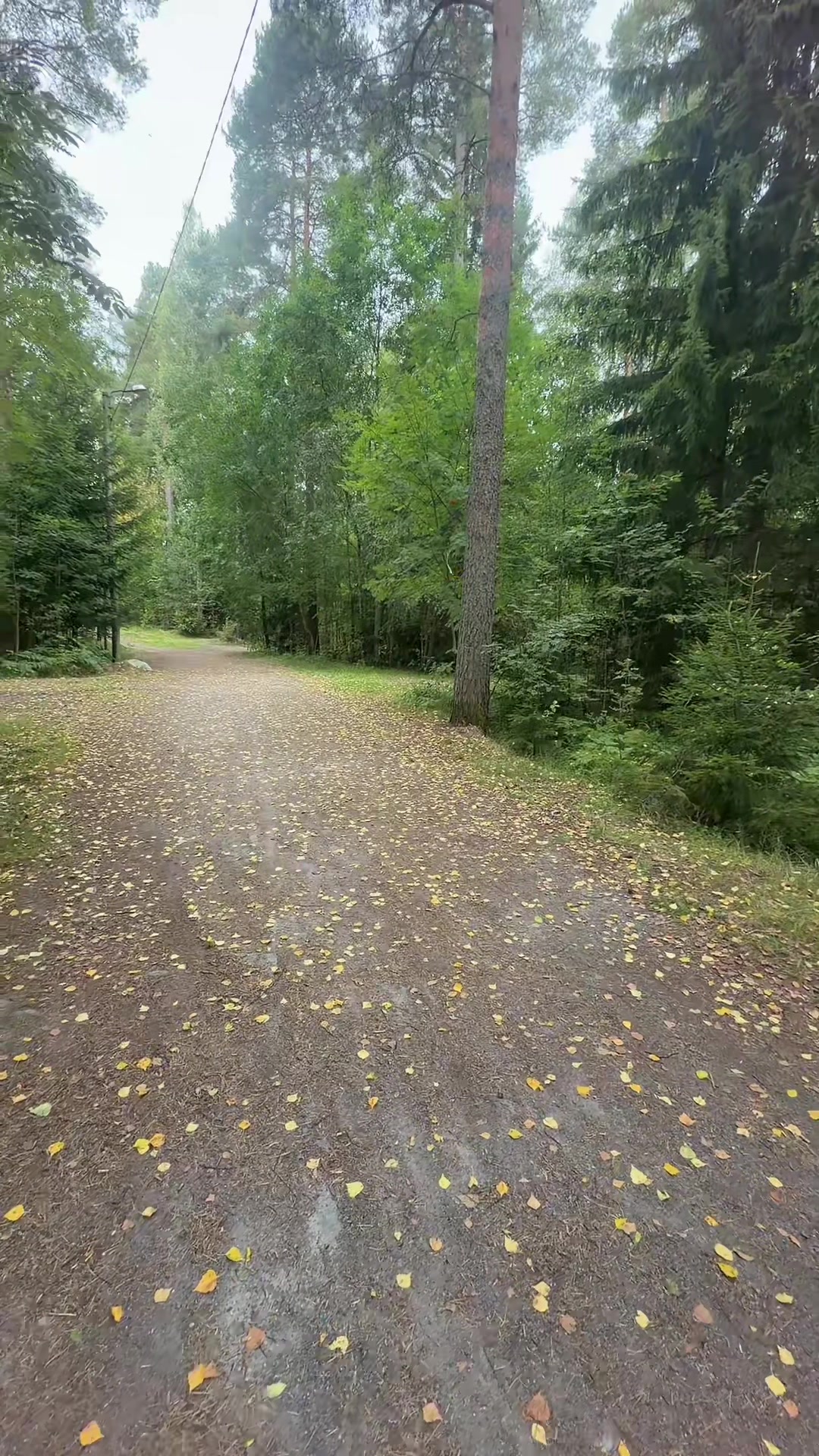 @Salla Armia