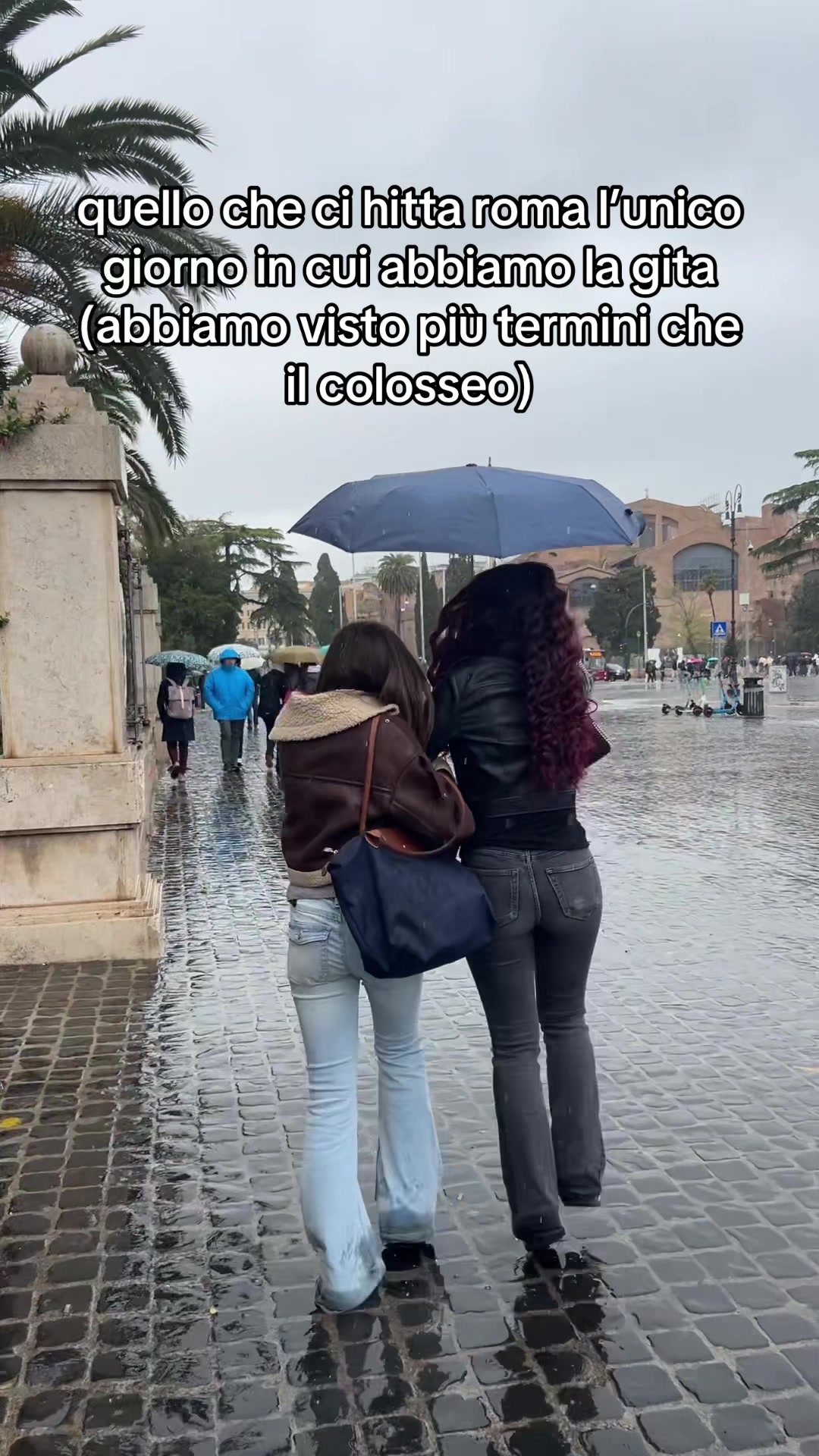 @senatox4⭐️