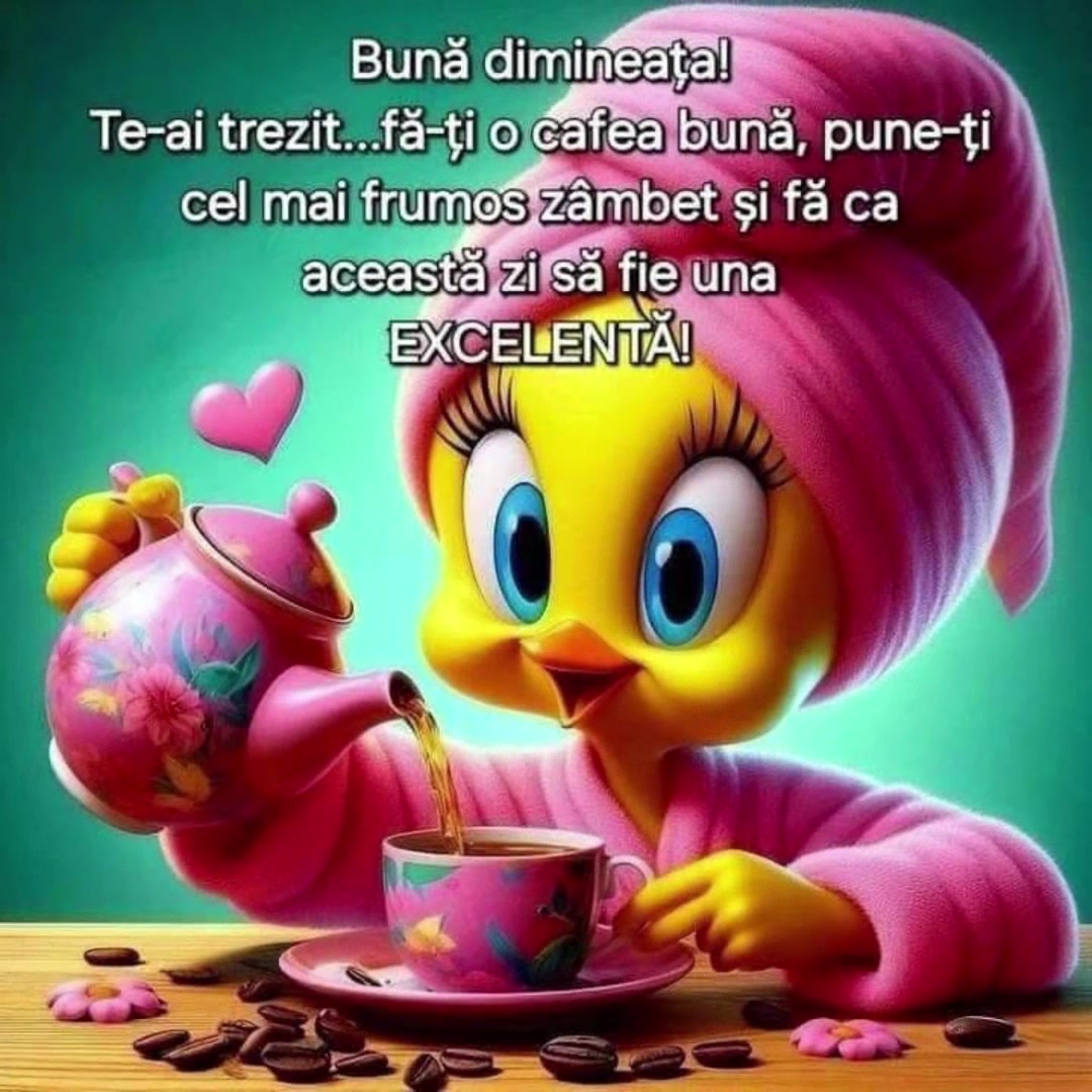@Virginia Topliceanu