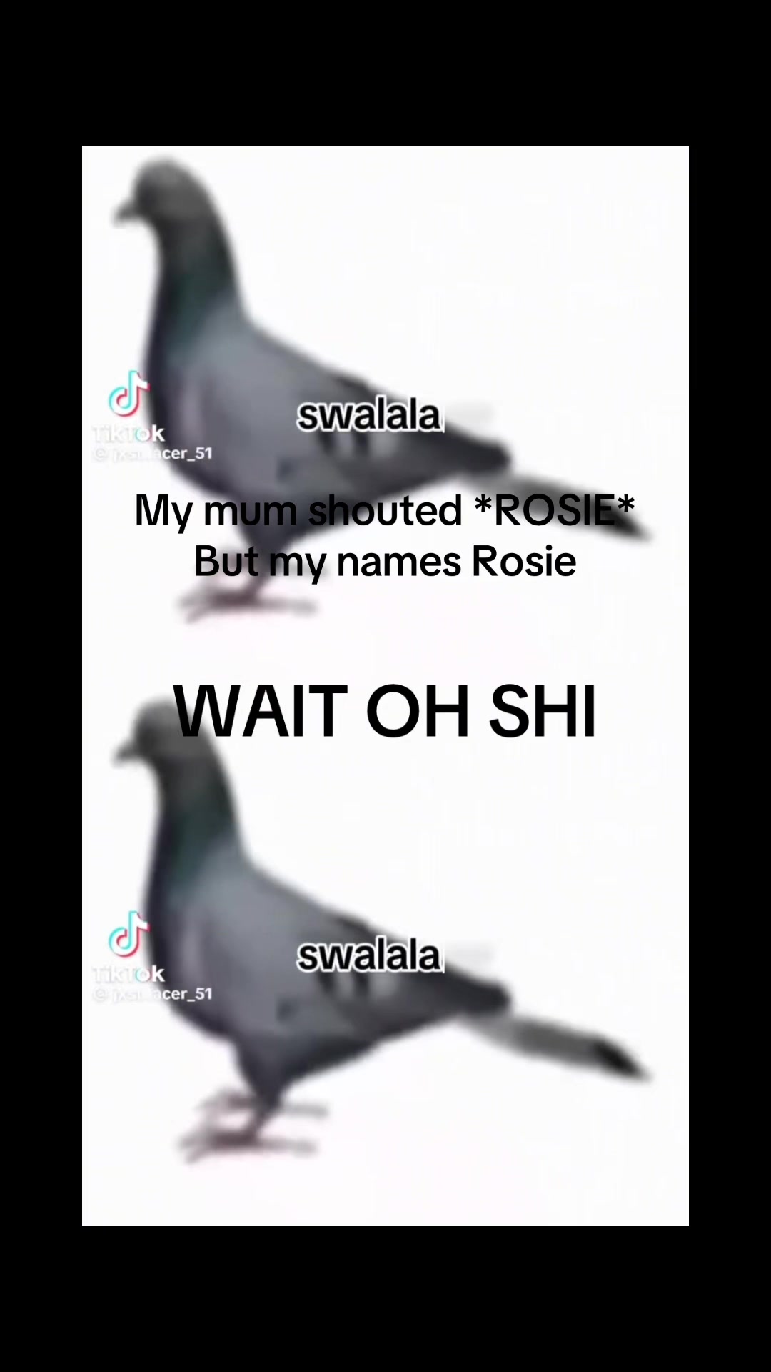 @@⋆。˚꒰ঌ Rosie ໒꒱˚。⋆: