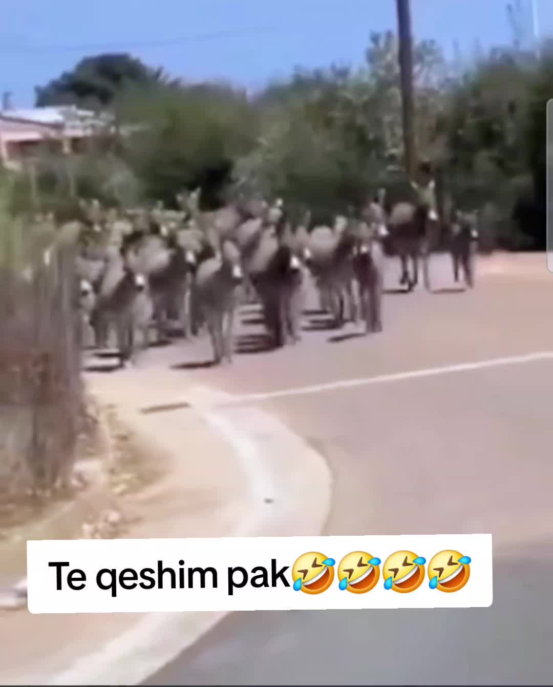 @AndiSHIJAk🇦🇱❤️🇮🇹