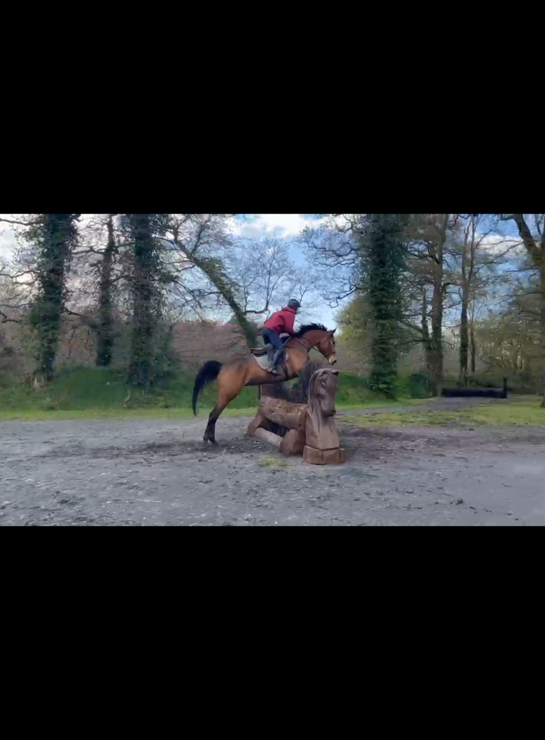 @irishsporthorses