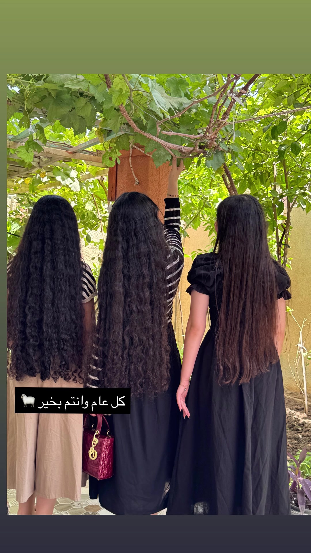 @الأميرة