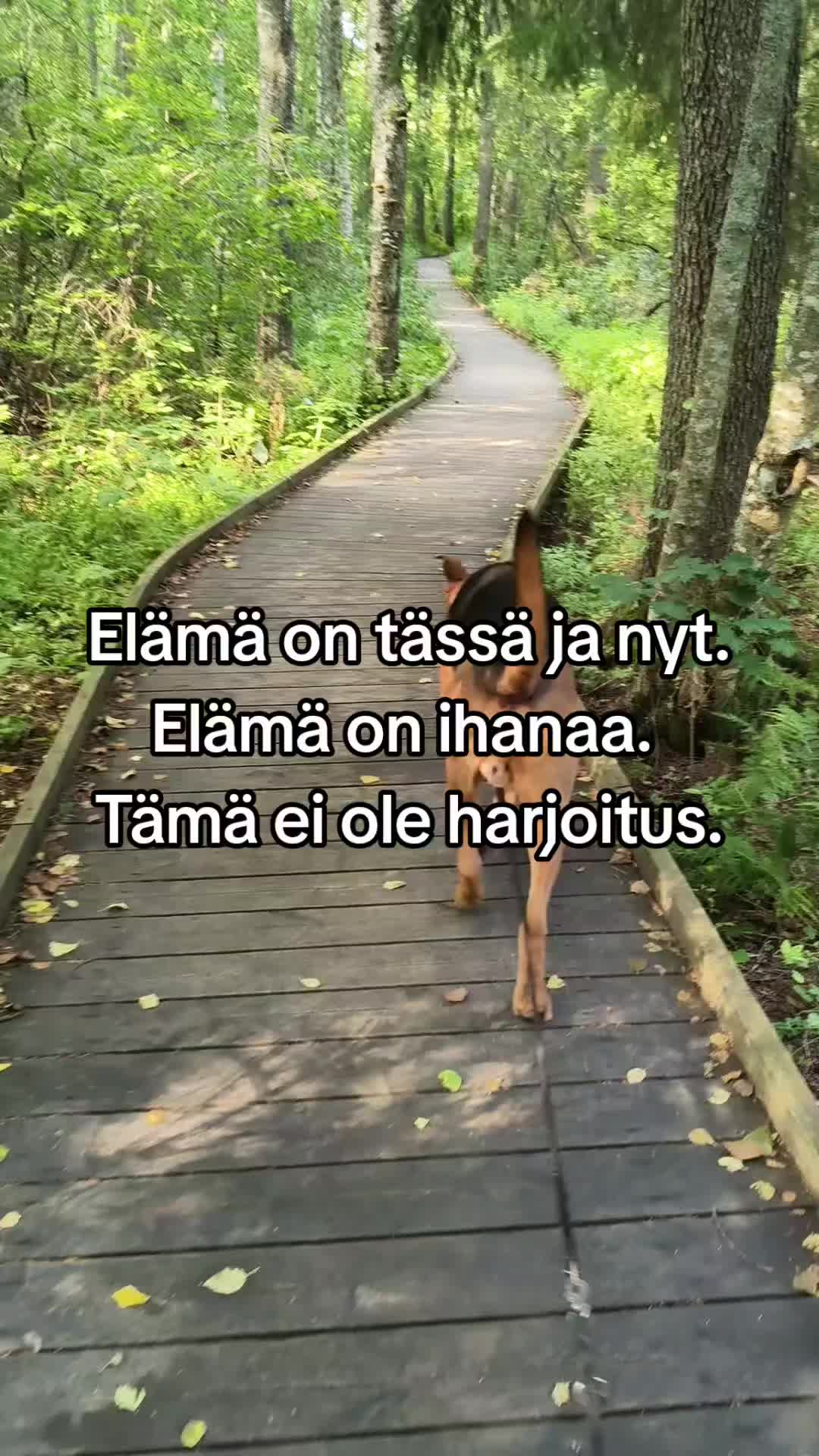 @Noora