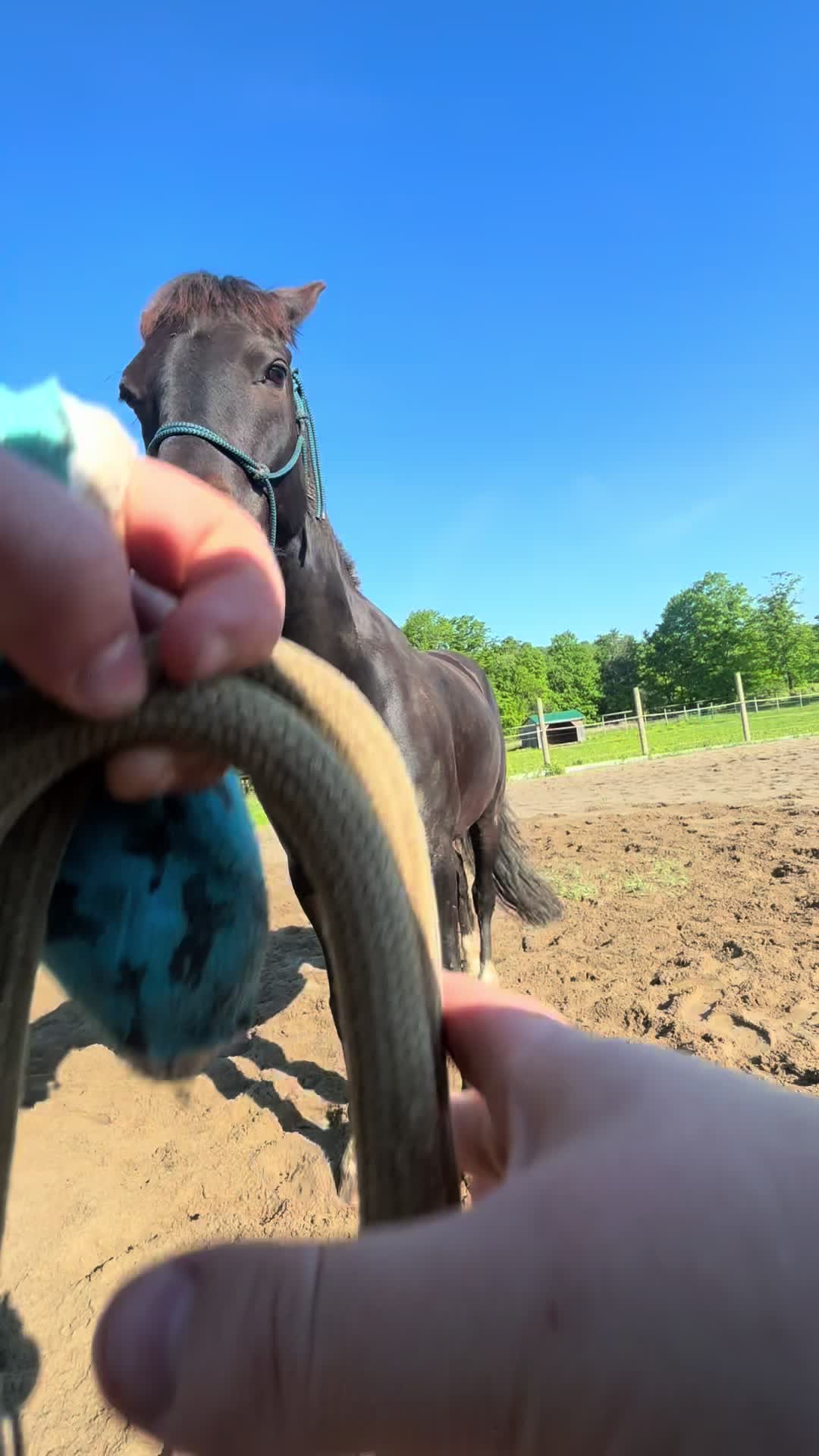 @Kai Elisa 🦨