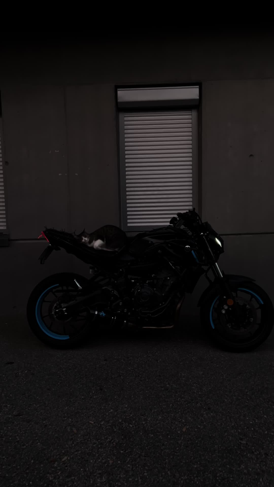 @cindy__moto