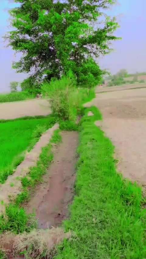 @🦅Talbaniya AraiN🦅