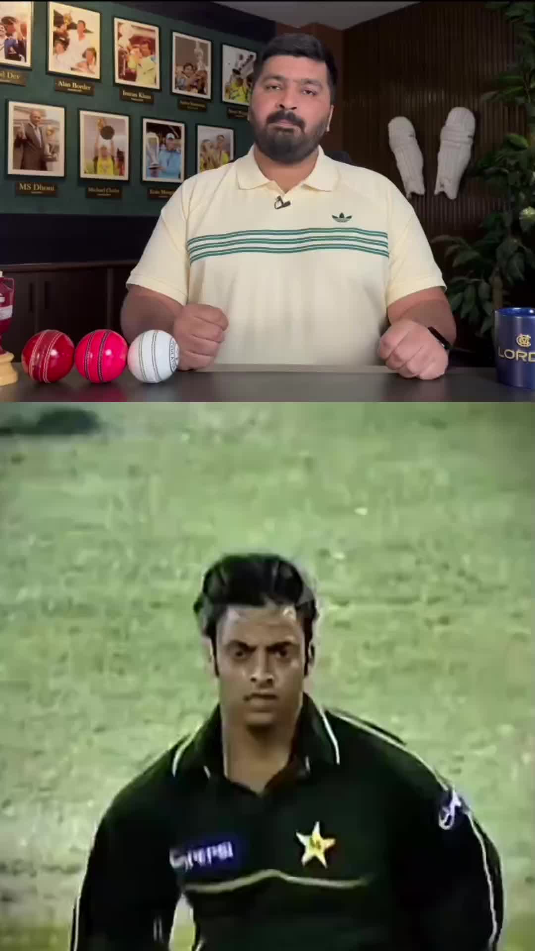 @Cricket Chat GPT