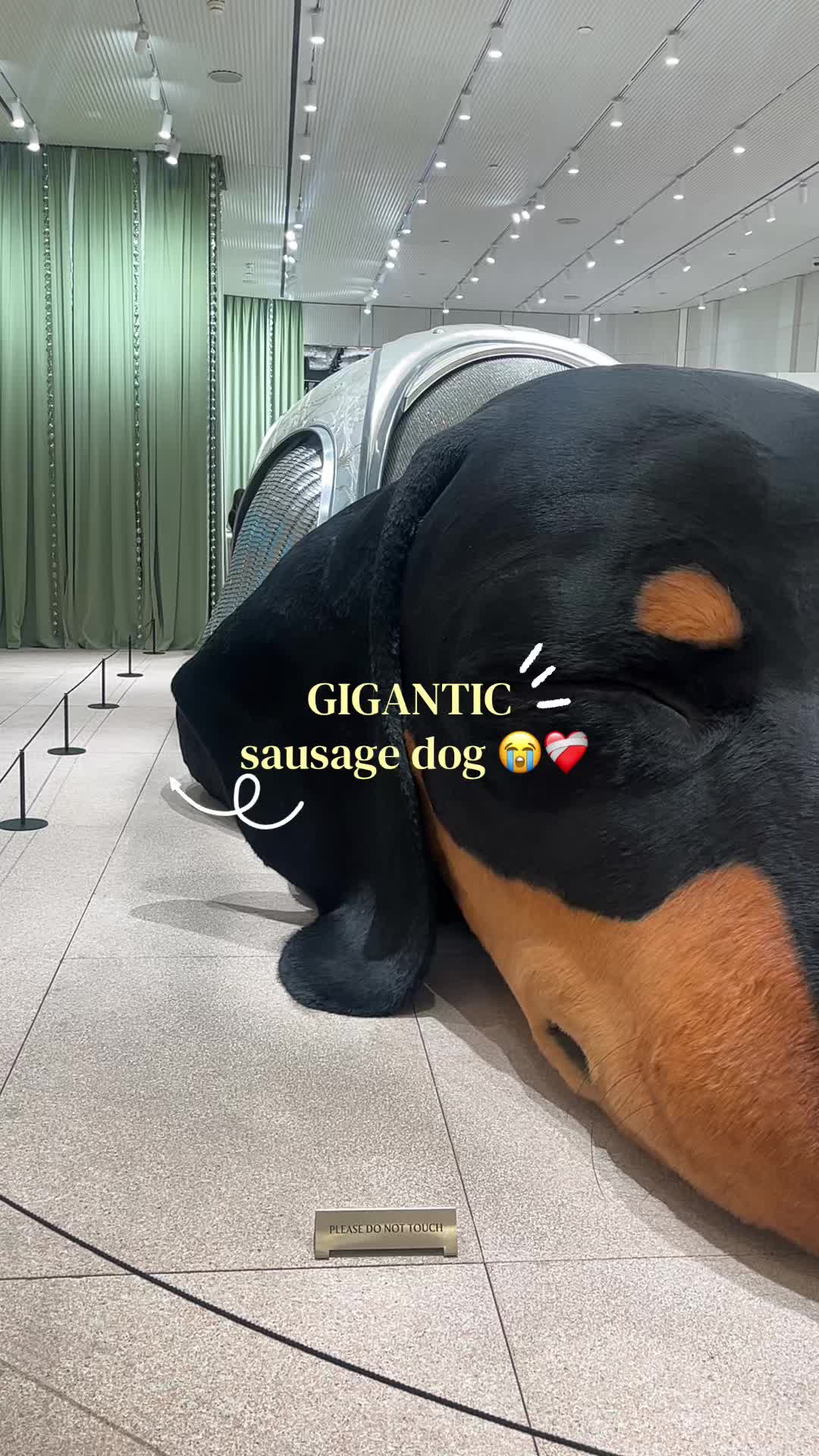 @(っ◔◡◔)っ 𝚒𝚟𝚢 ⛩️👻