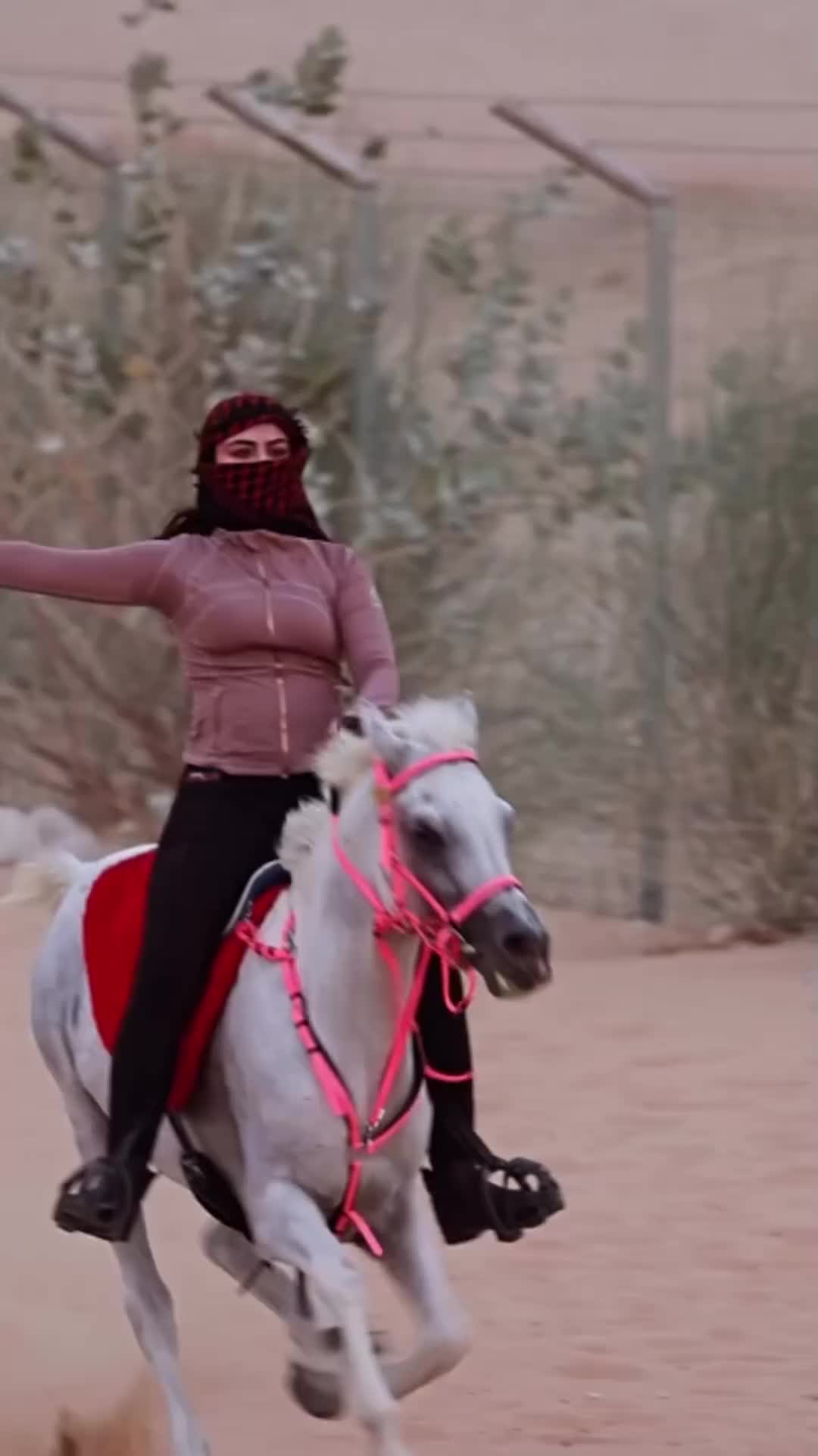 @خيال المهره