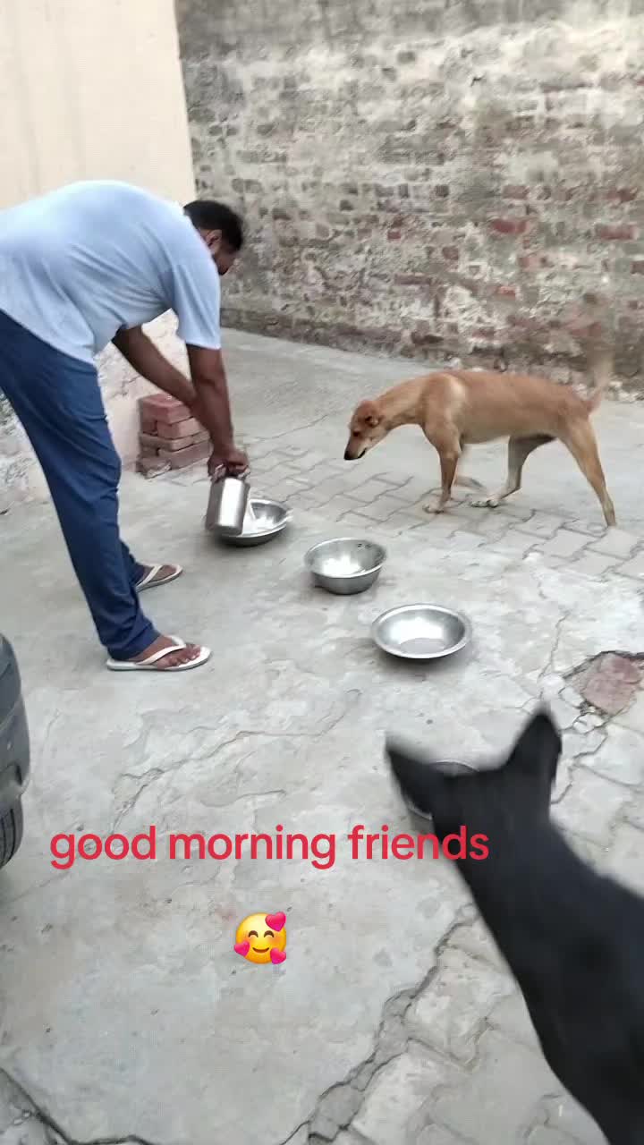 @Amarjit  727