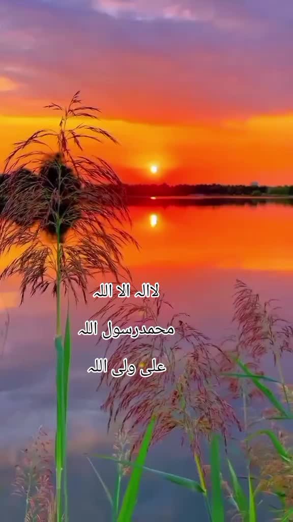 @Syed Imran 11483