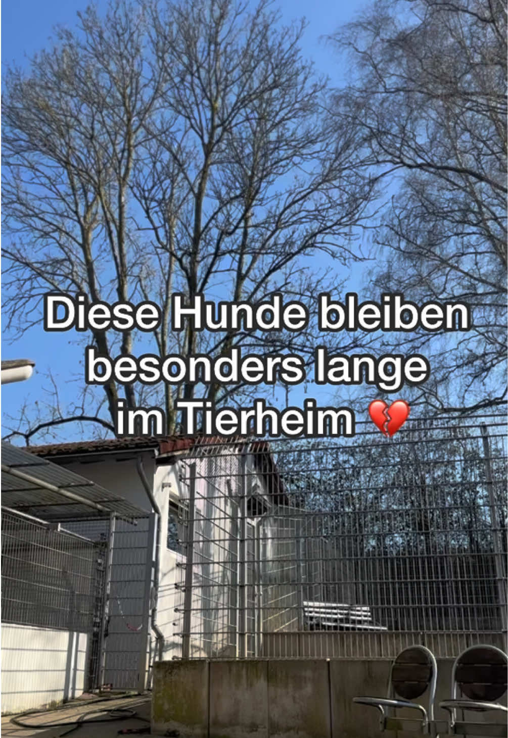 @Tierheim Witten e.V.