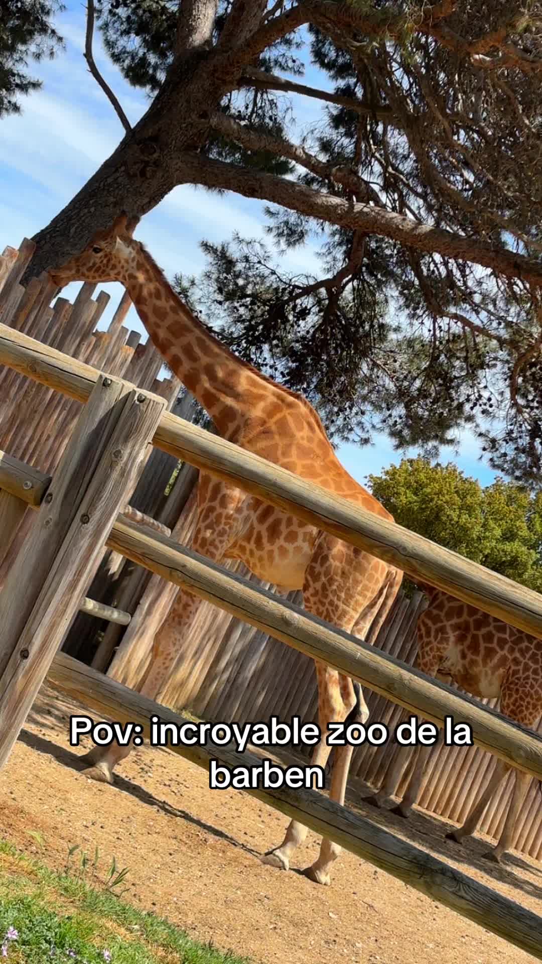 @13poupoune13