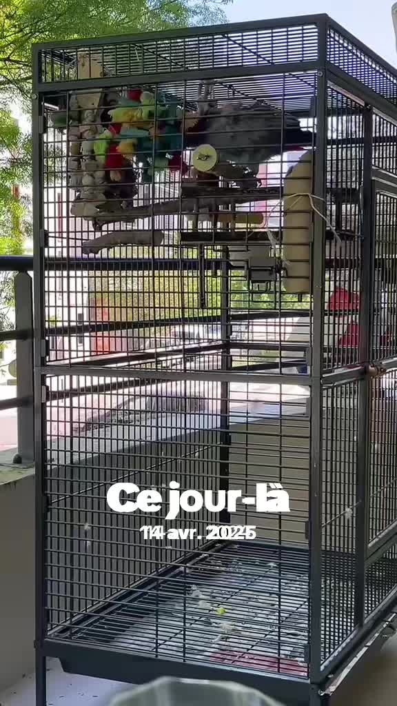 @Lamourdemondiego