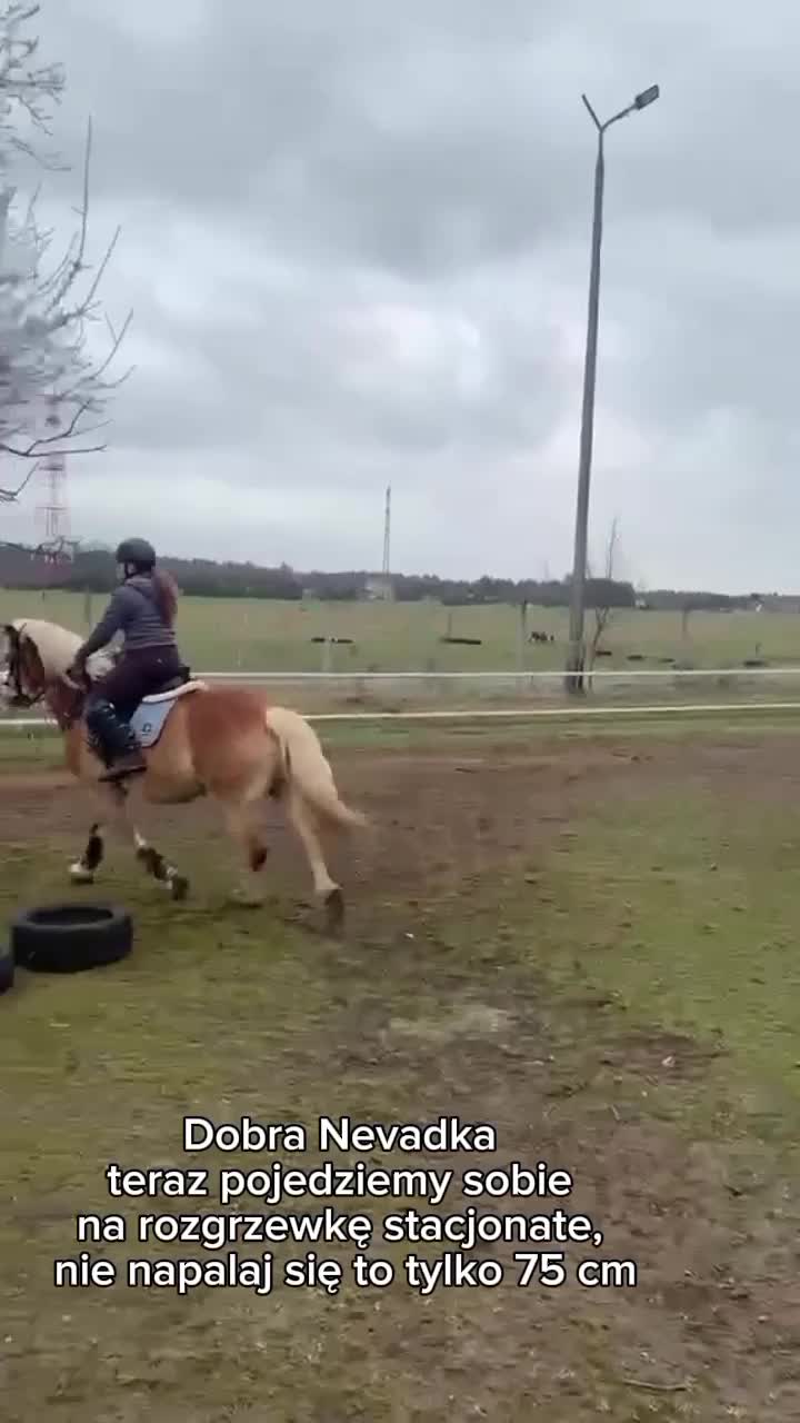 @TA OD KUCYK&Oacute;W🐴🐎